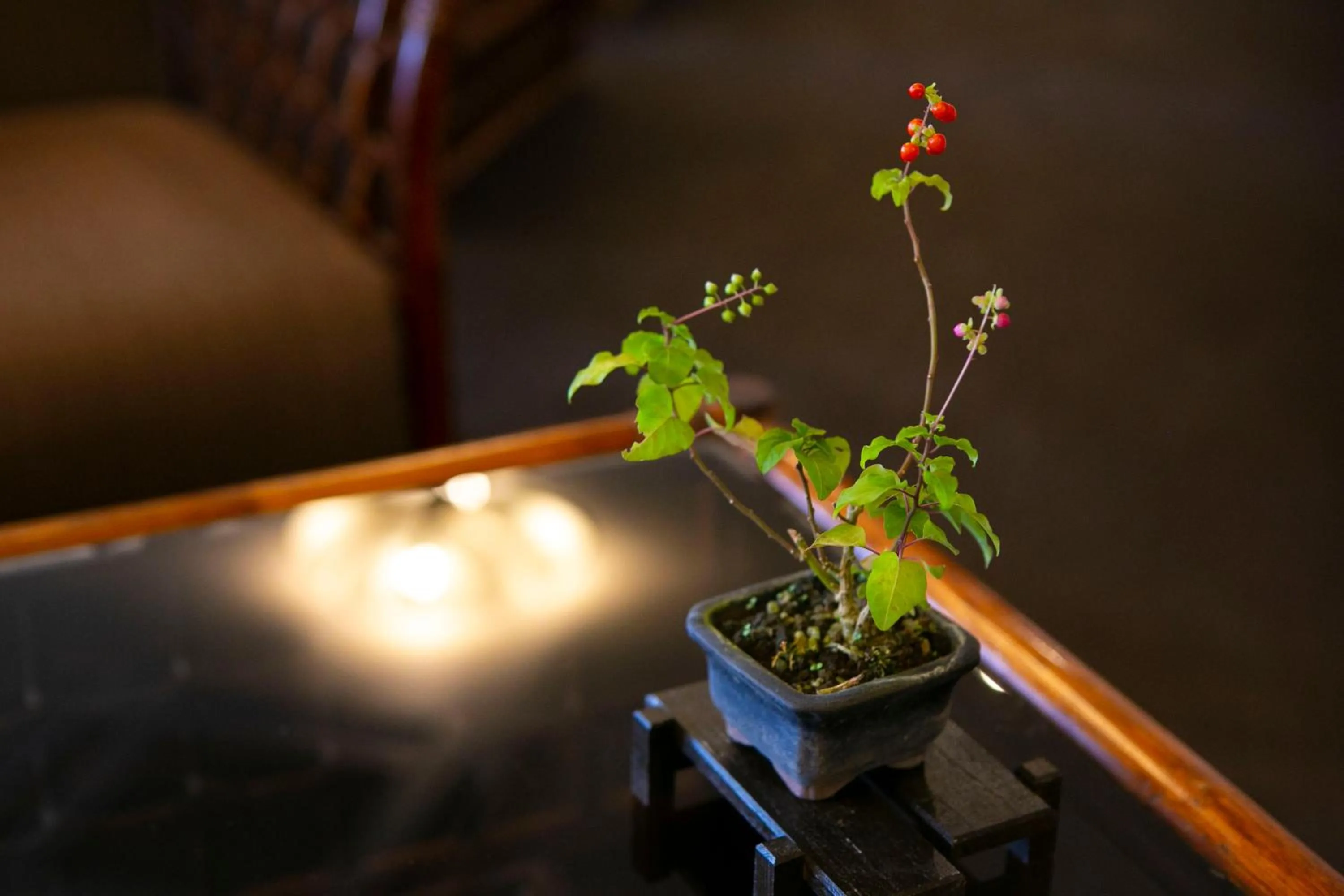 Other in Hotel New Nishino