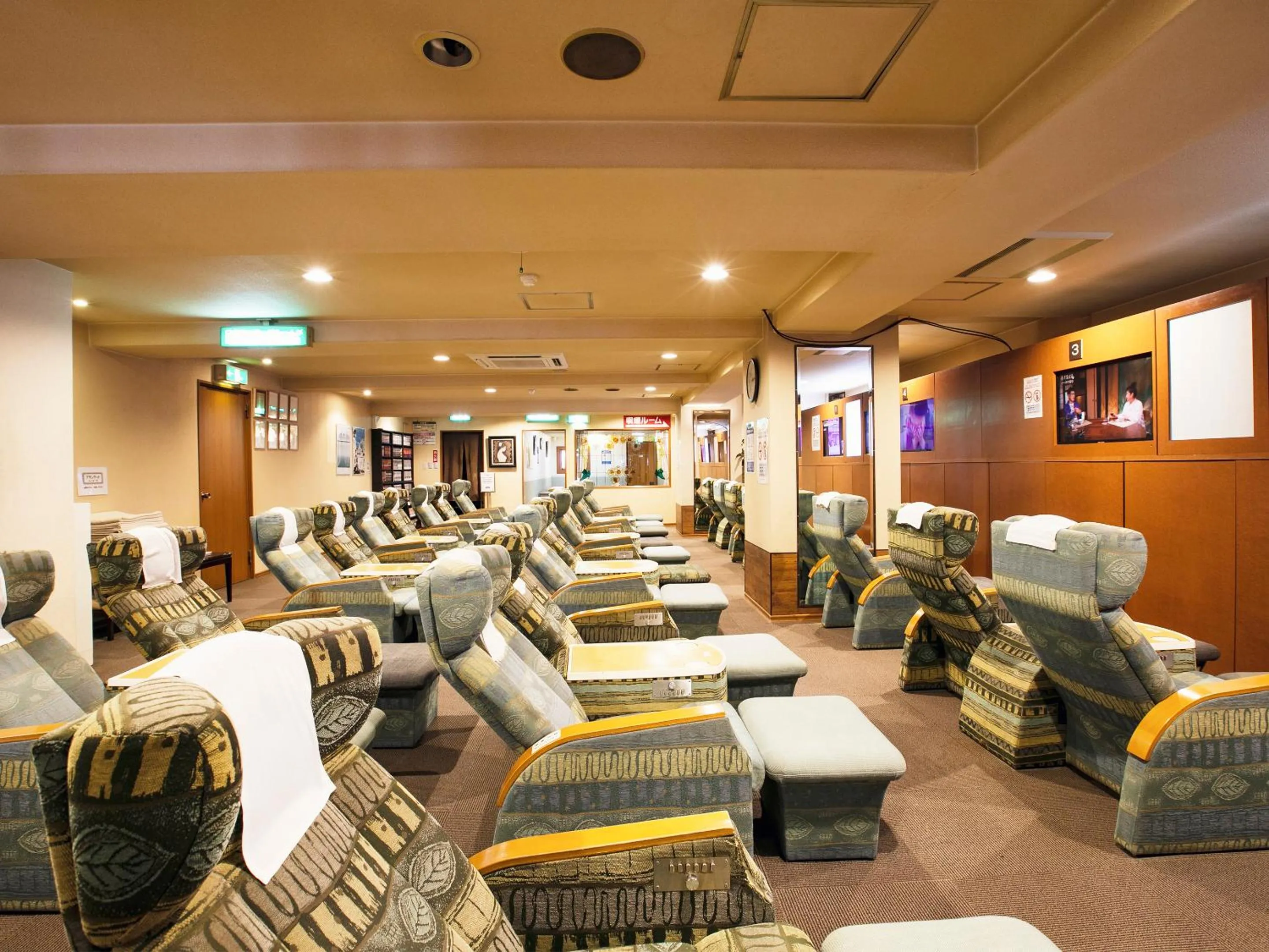 Communal lounge/ TV room in Hotel New Nishino