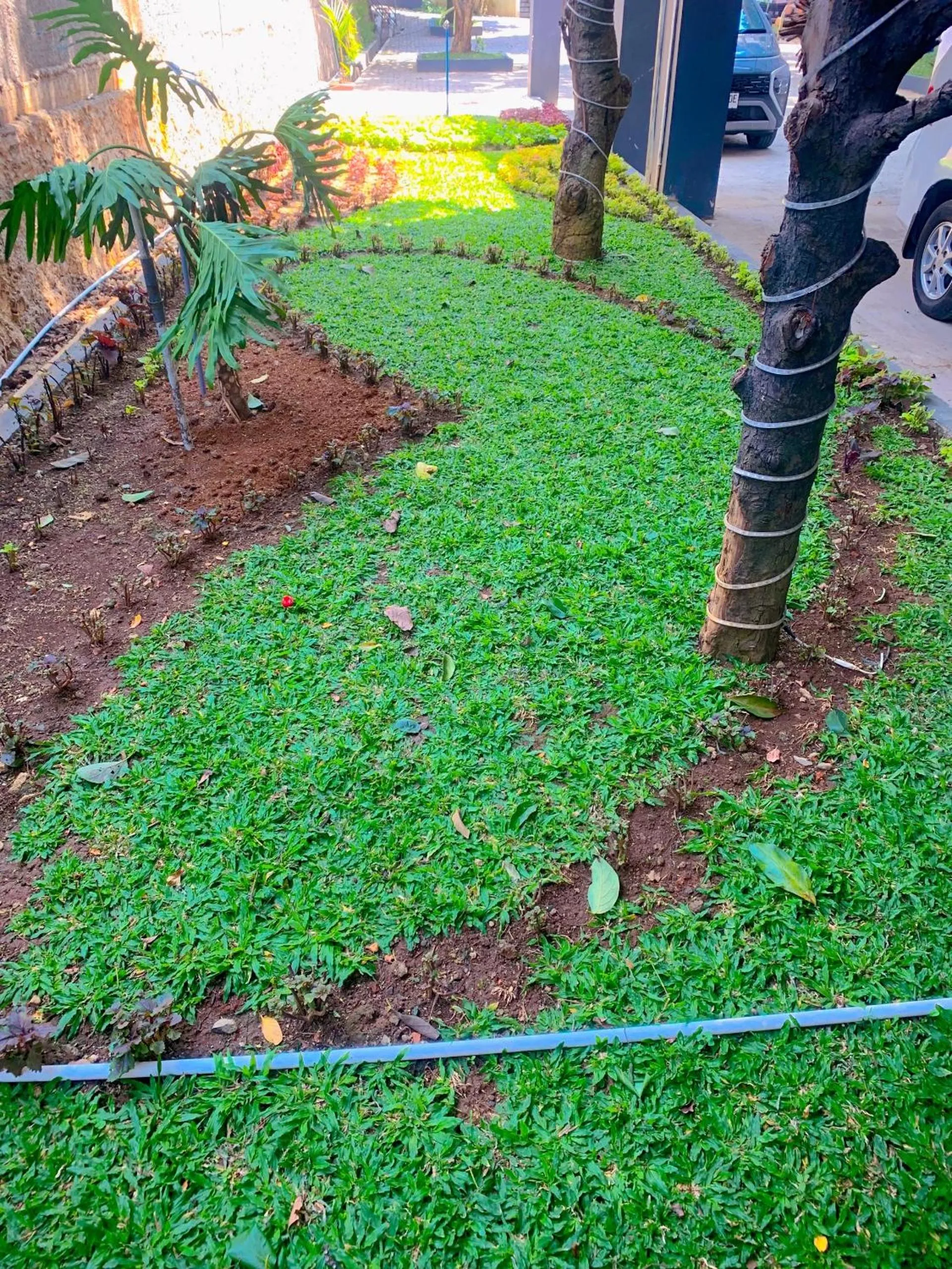 Residence Tanjung Pakuan