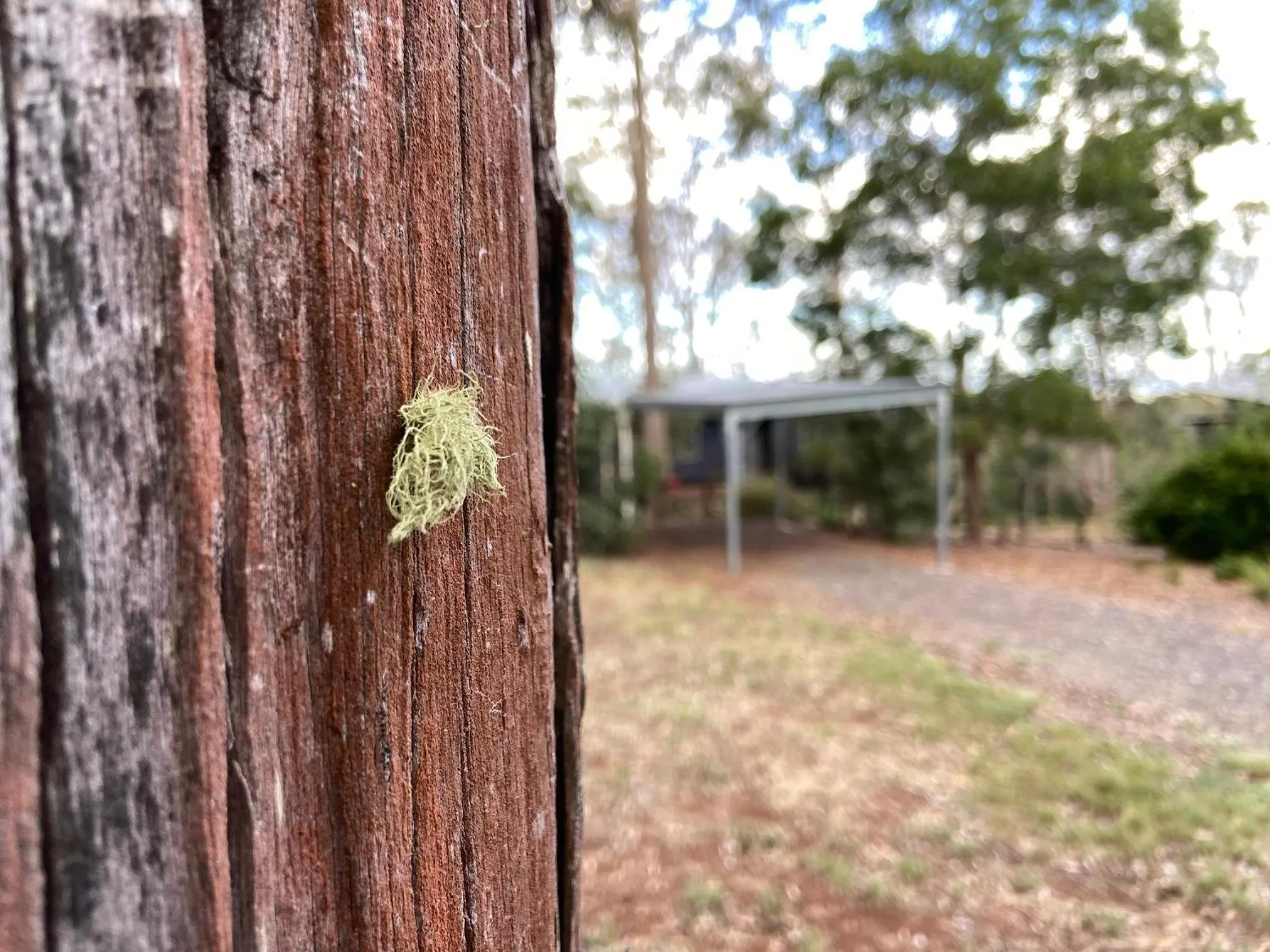 Garden in Redrock Retreat