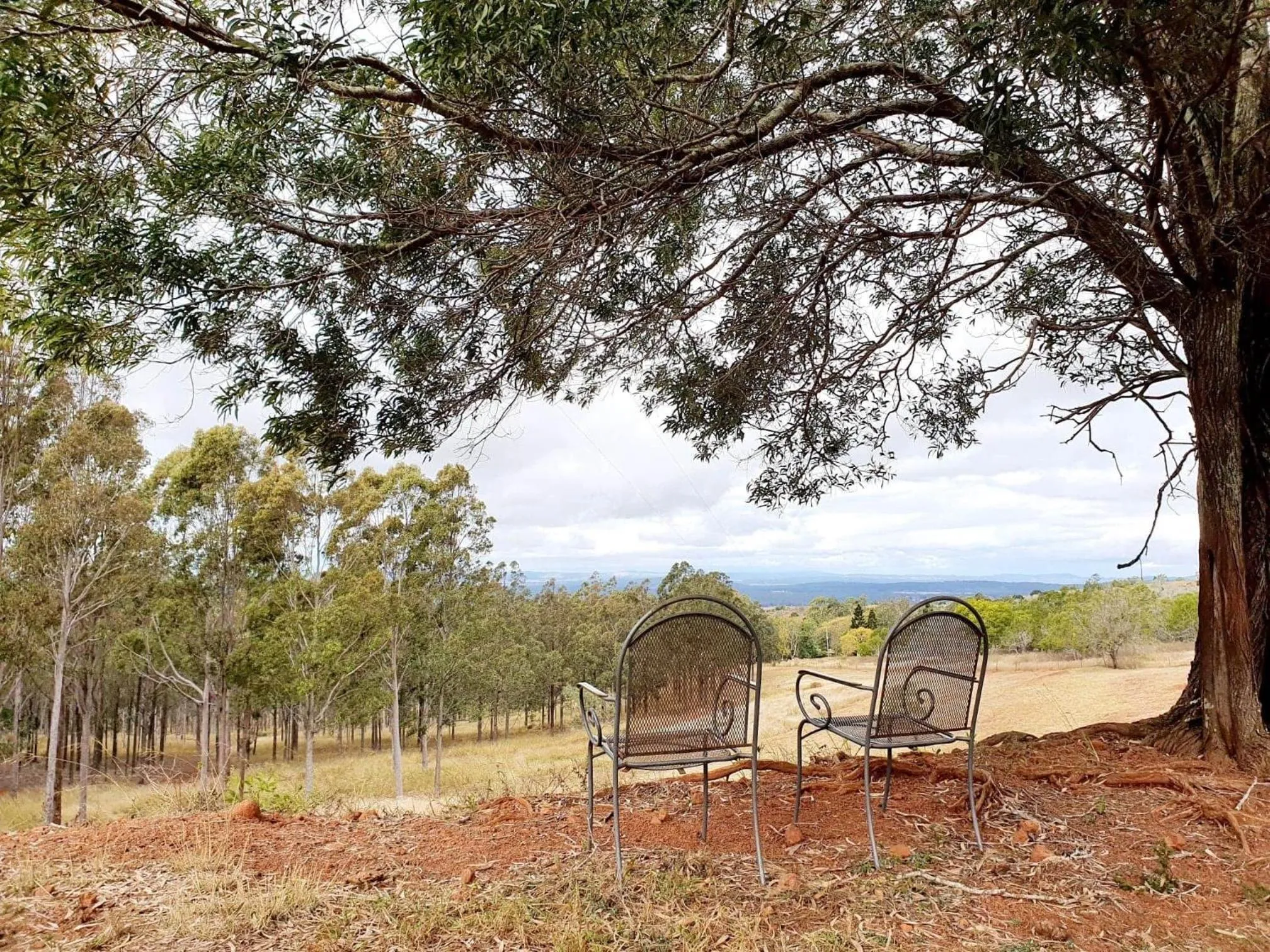Garden in Redrock Retreat