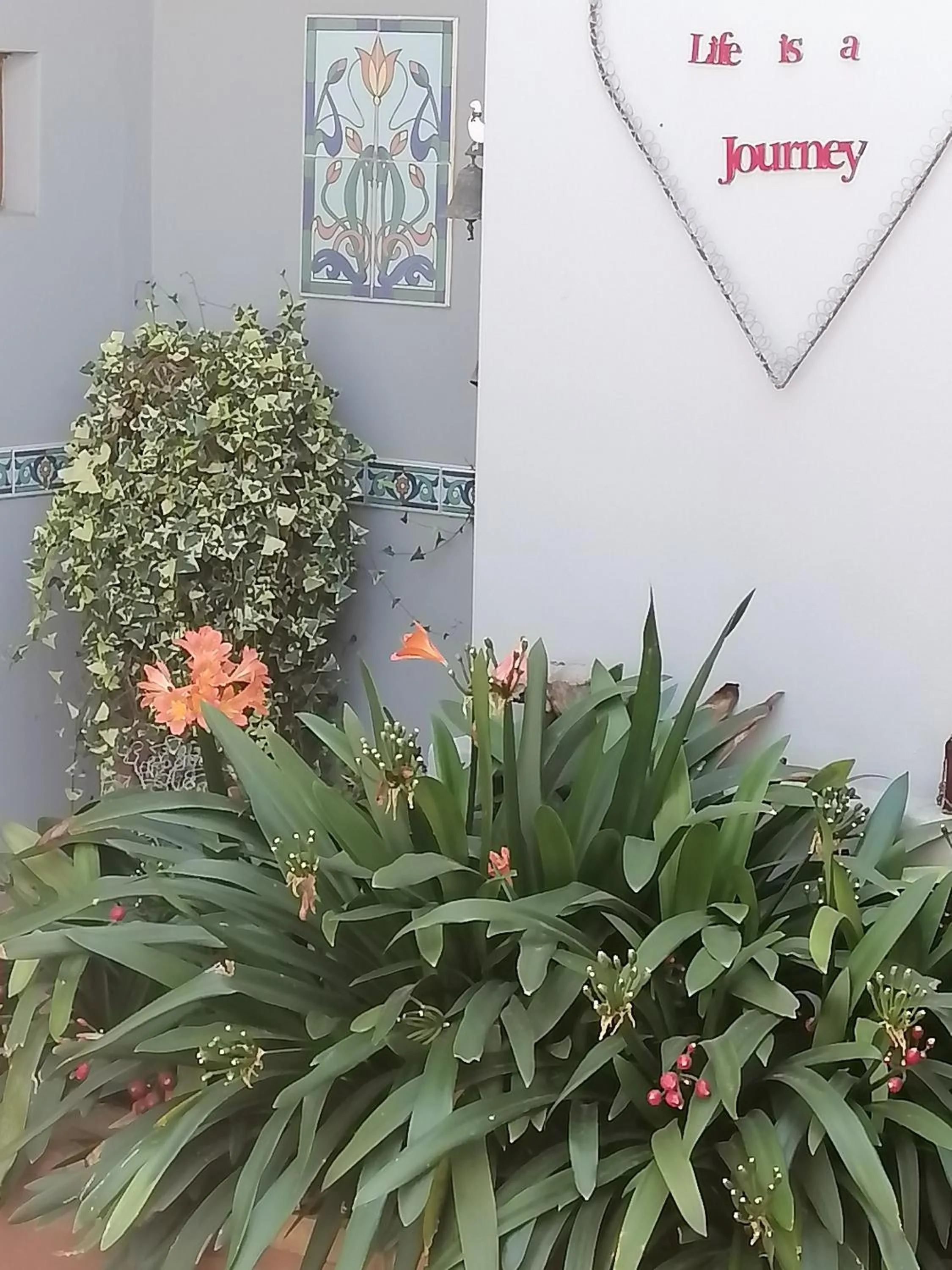 Facade/entrance in AVIENTO Guesthouse