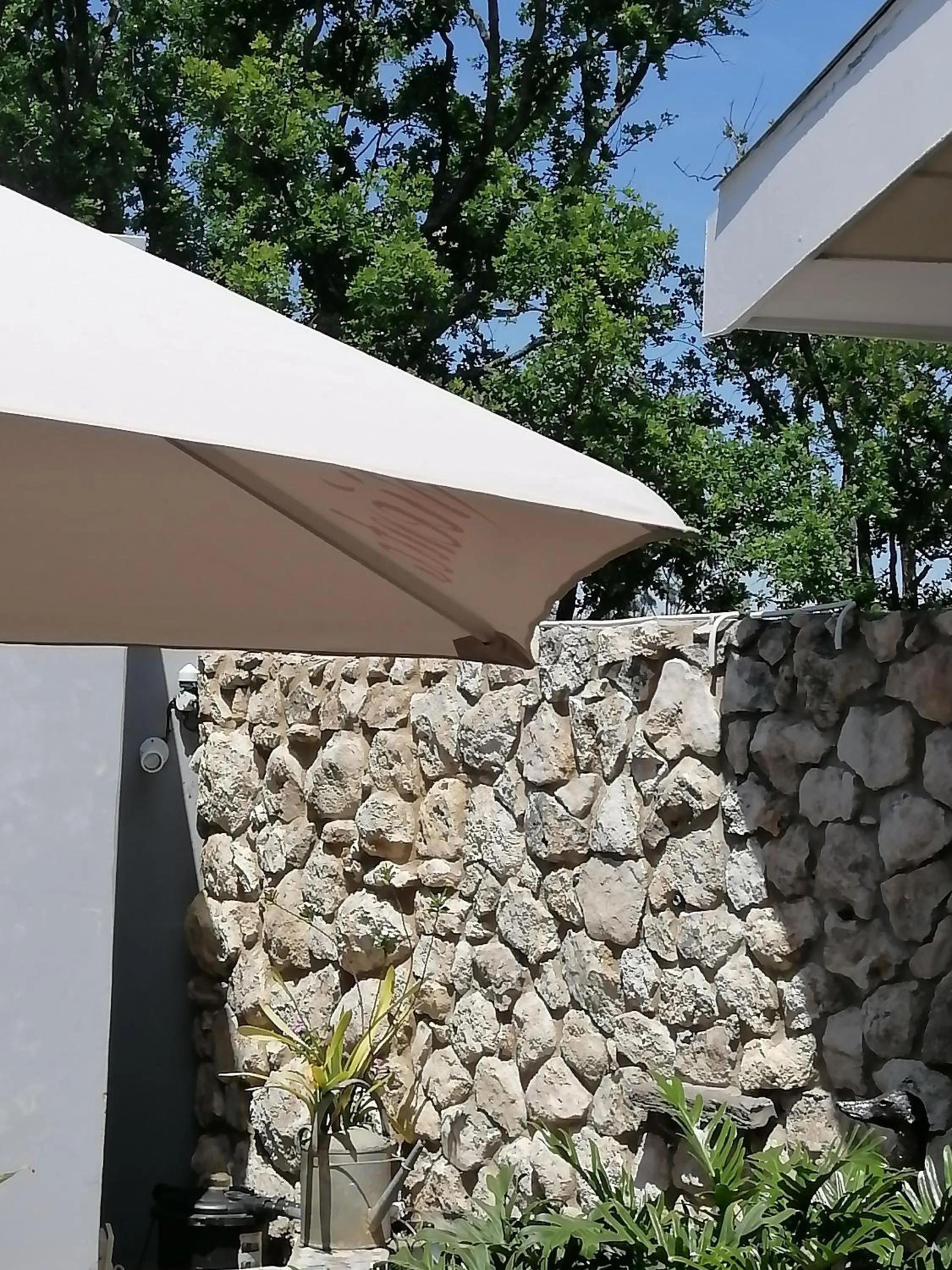 Patio in AVIENTO Guesthouse