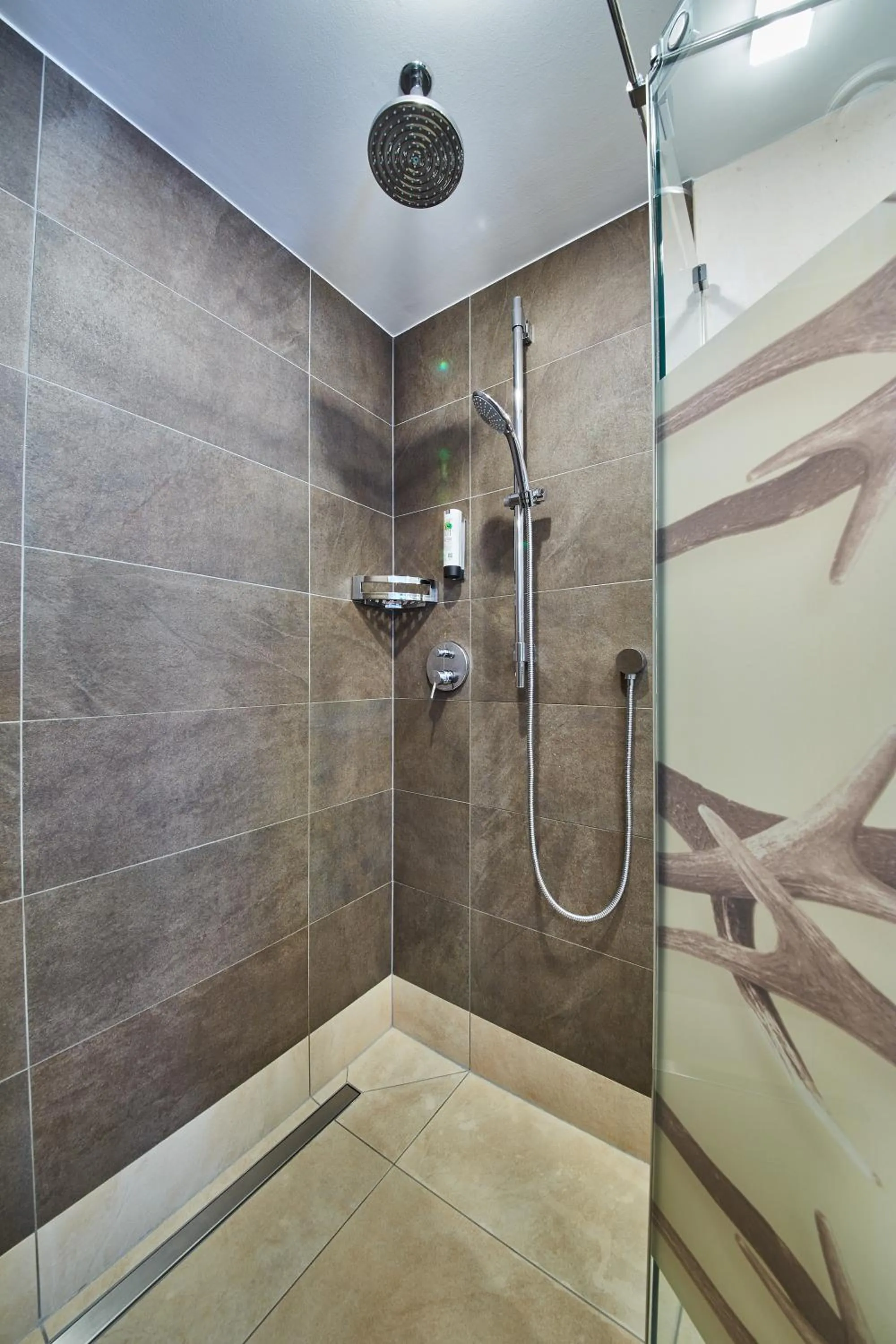 Shower in Hotel DIE SONNE