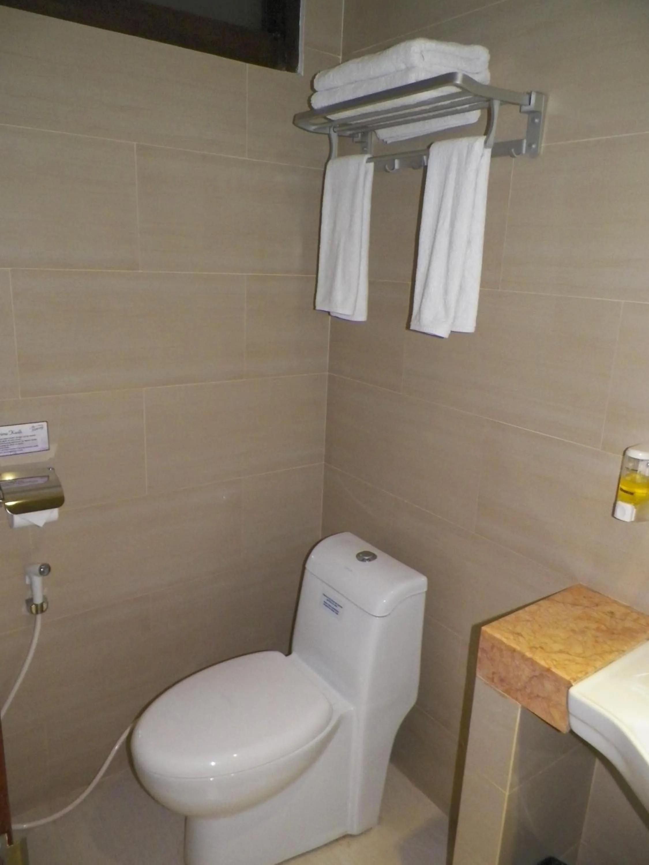 Toilet in Hotel Victory Bandung