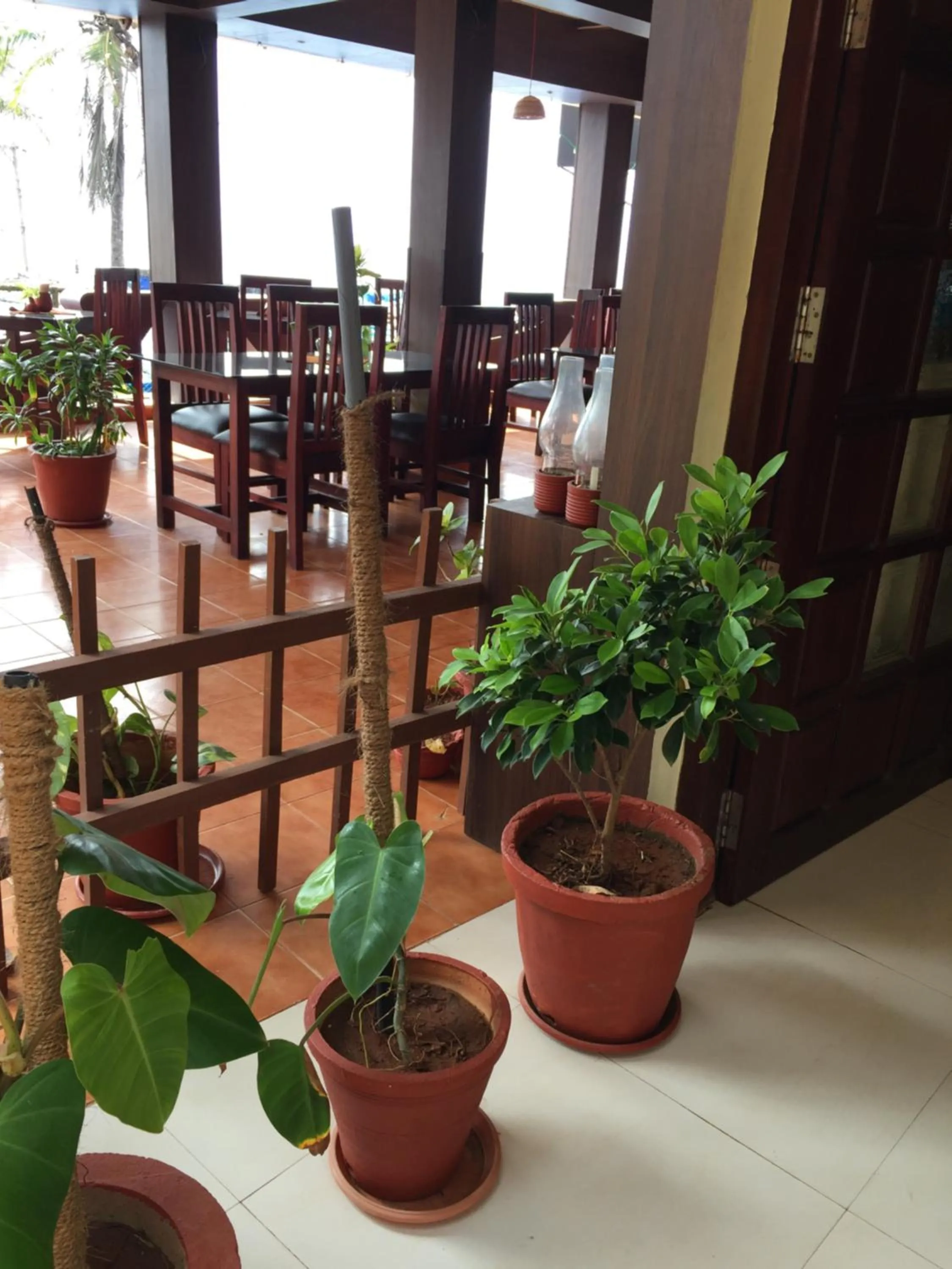 Restaurant/places to eat in The Ocean Park Beach Resort