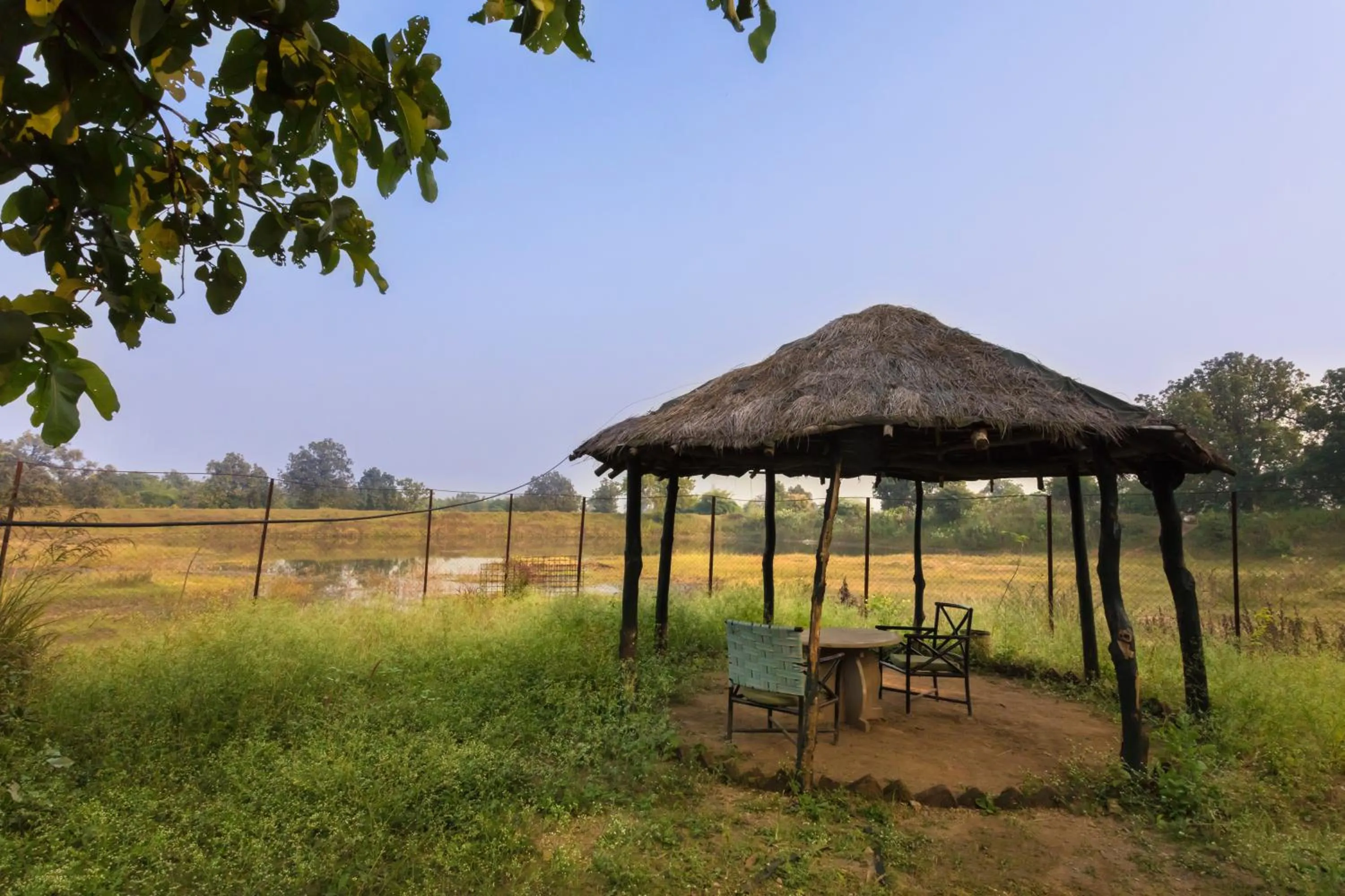 Garden in Pench Jungle Camp