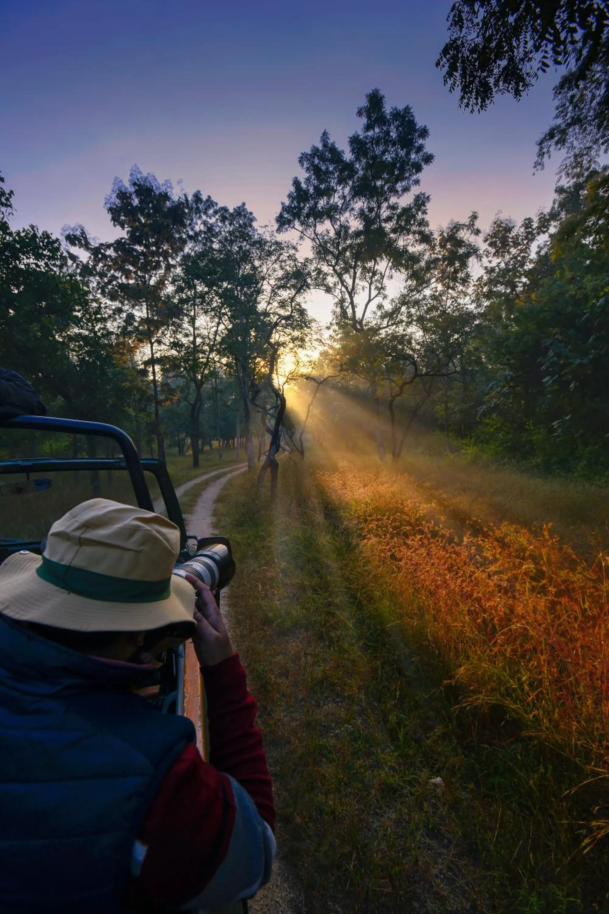 Garden in Pench Jungle Camp