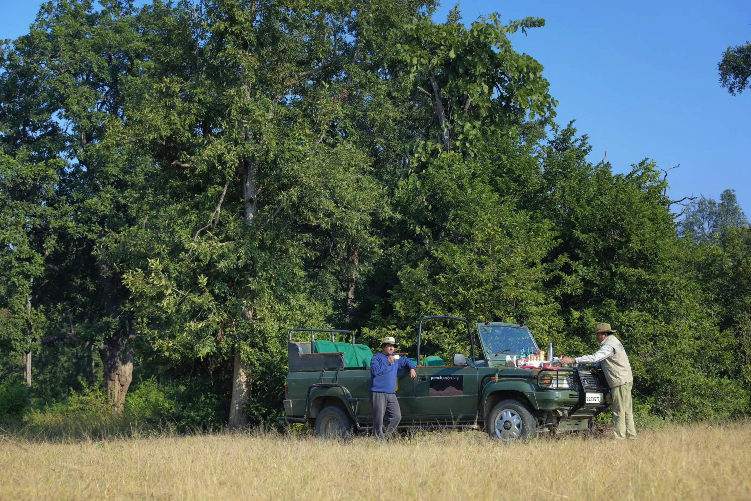 Bird's eye view in Pench Jungle Camp
