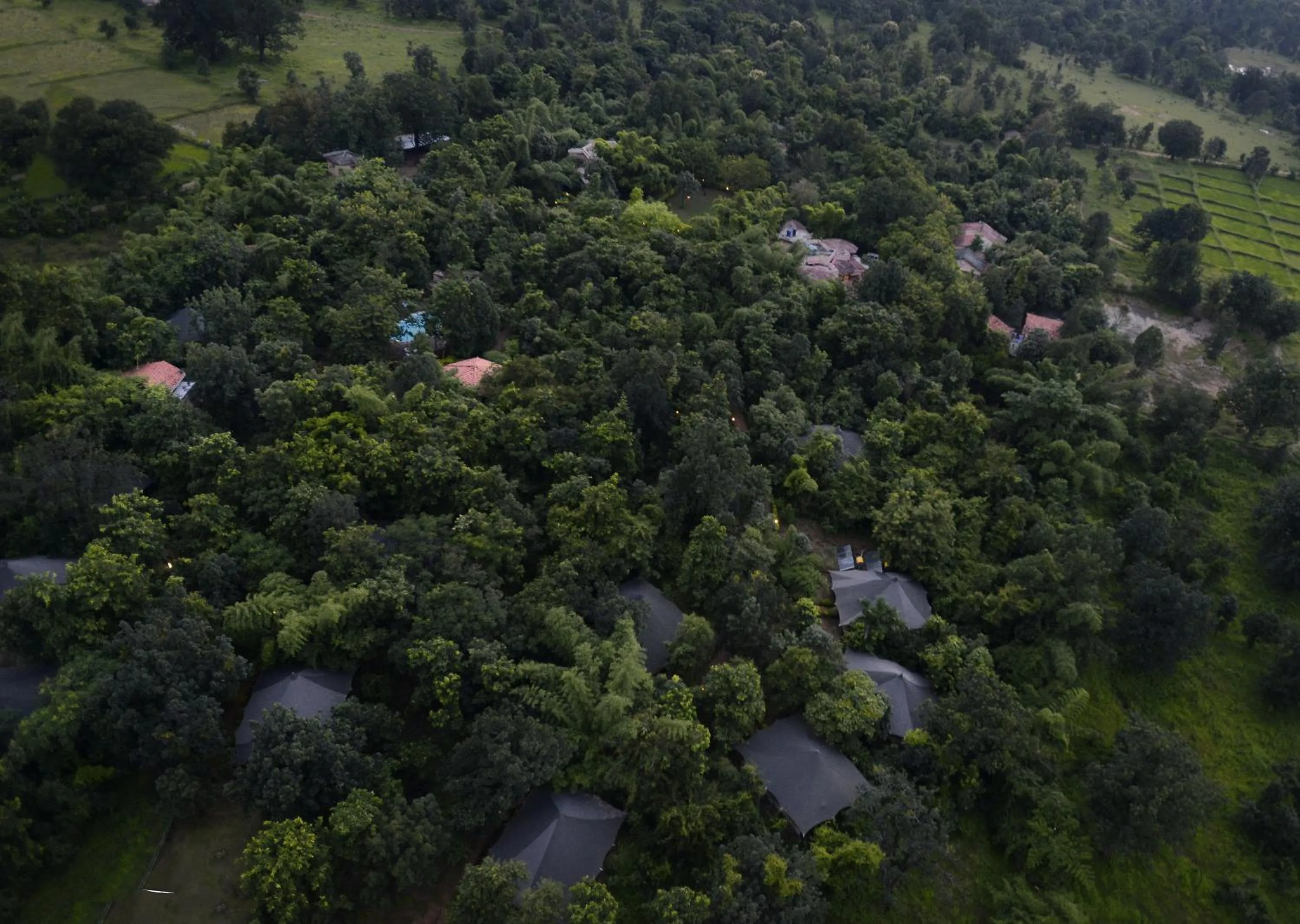 Neighbourhood in Pench Jungle Camp