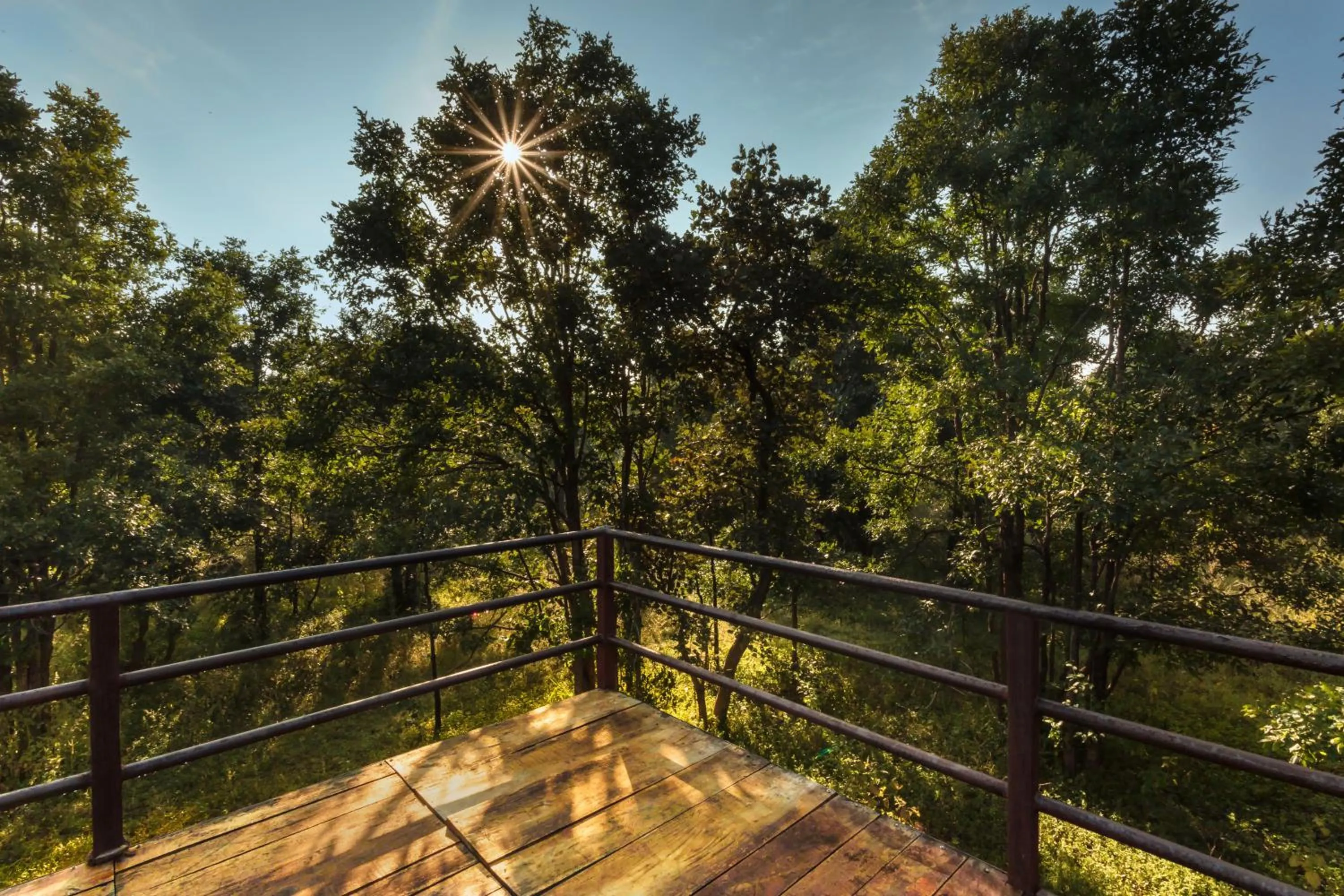 Balcony/Terrace in Pench Jungle Camp