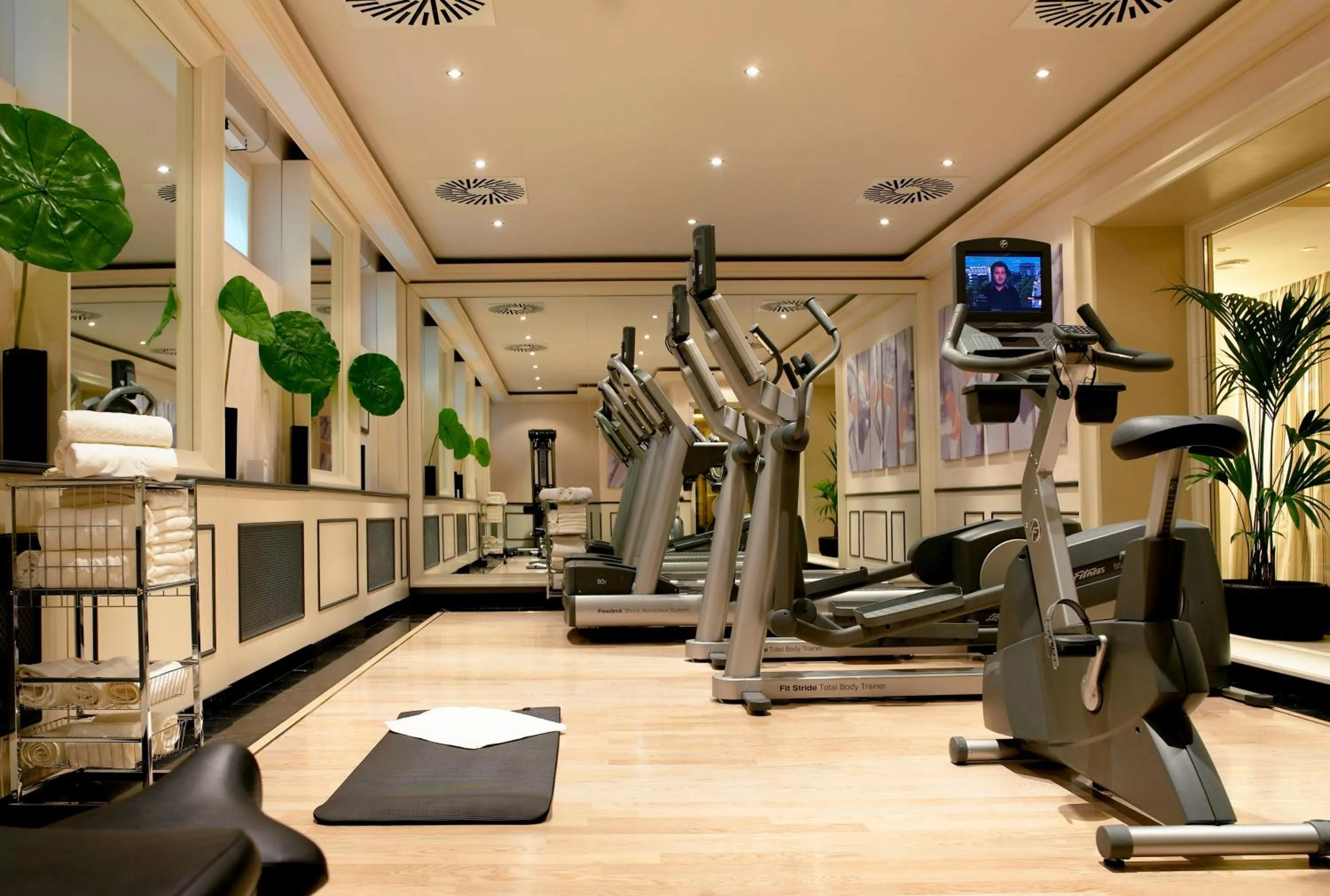 Fitness centre/facilities in Hotel Sacher Wien