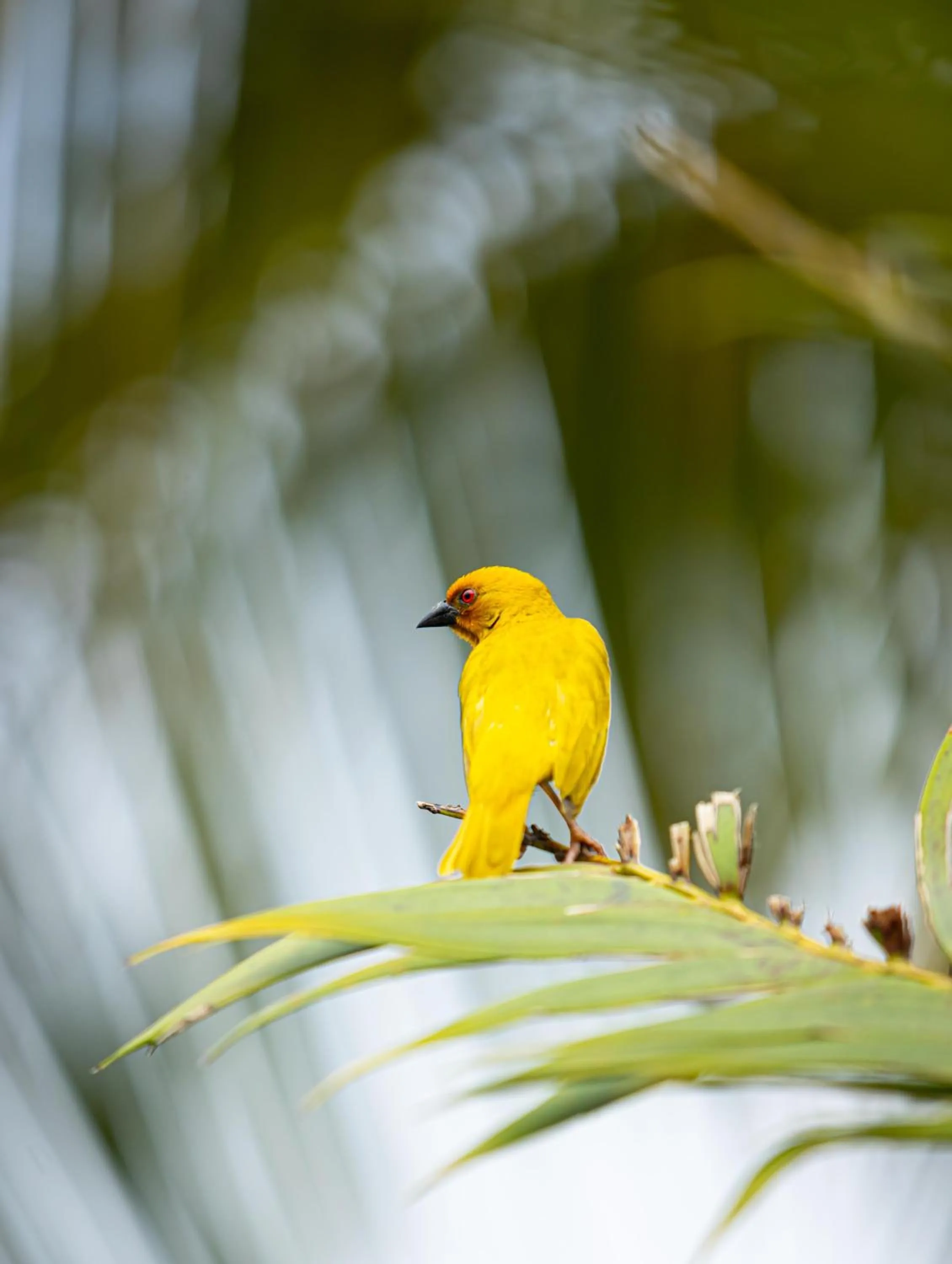 Day in Zanzibar White Sand Luxury Villas & Spa - Relais & Chateaux