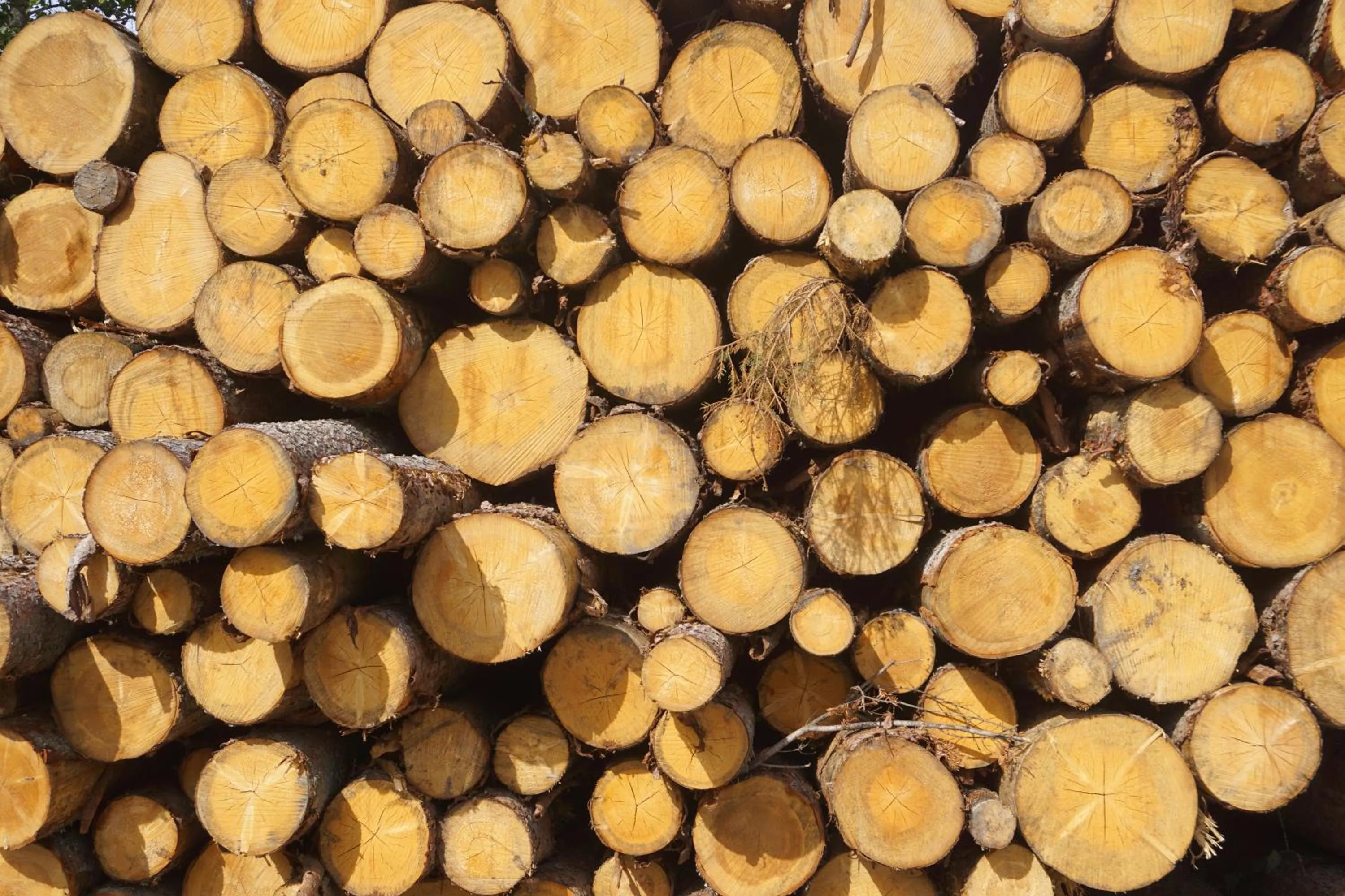 Other in Hotel Pension Tyrol