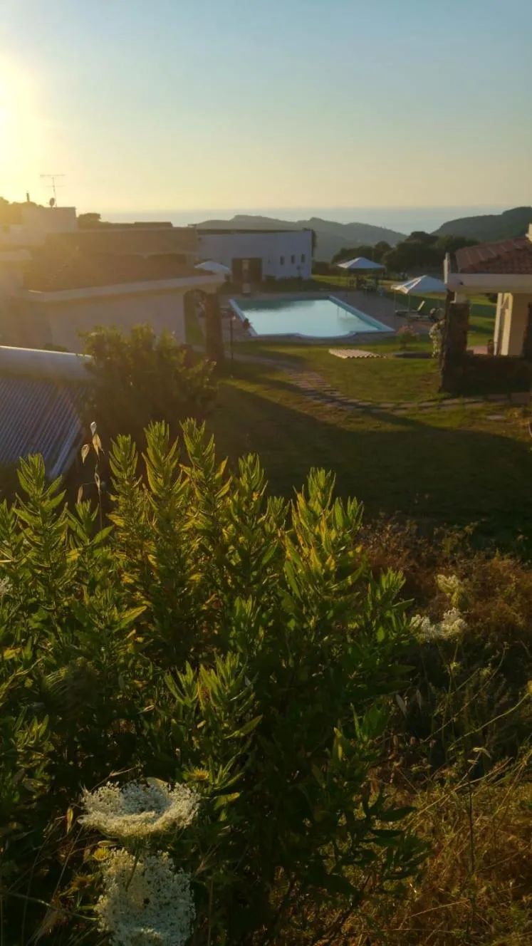 Garden in La Fattoria