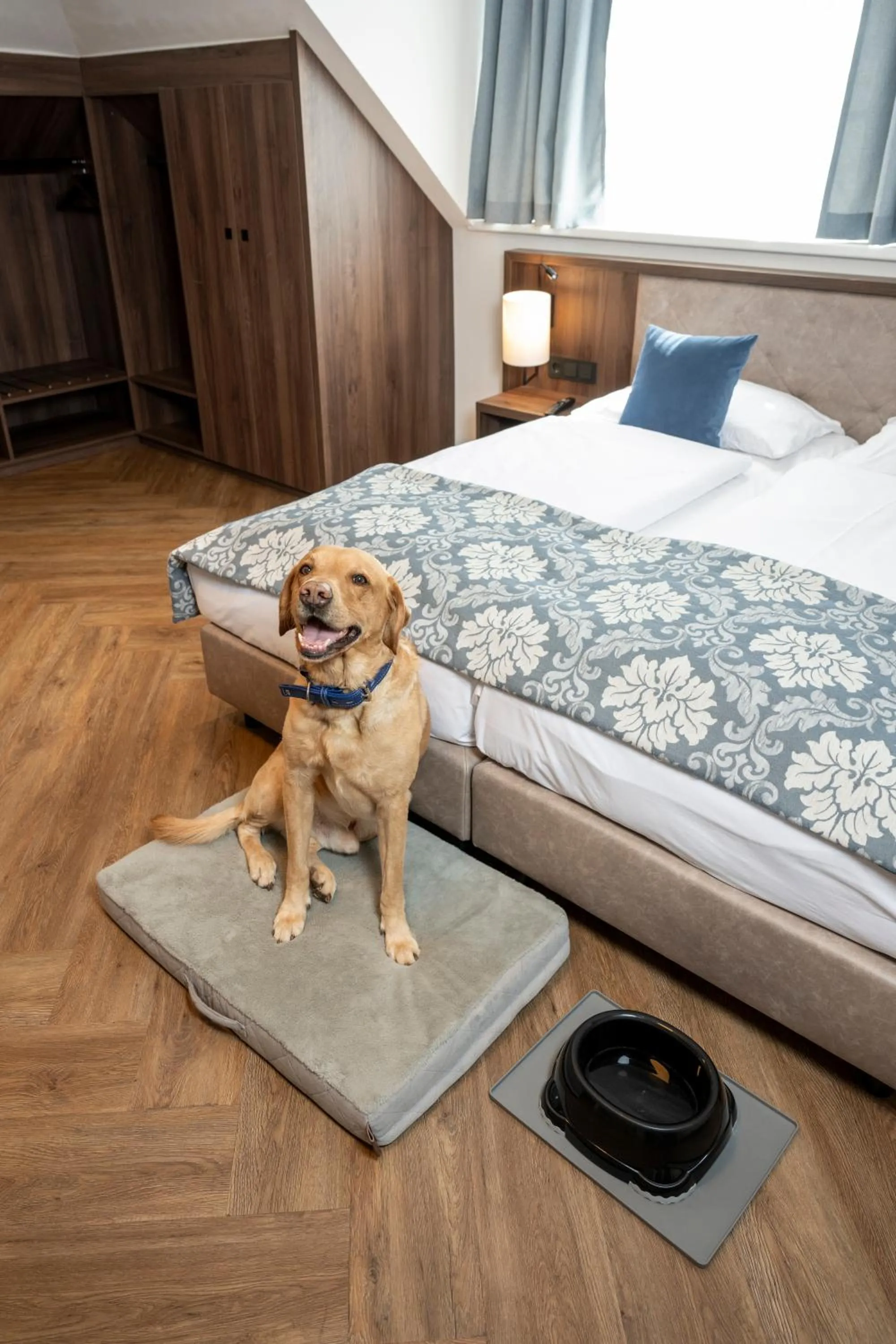Pets, Bed in Salzburg Hotel Lilienhof