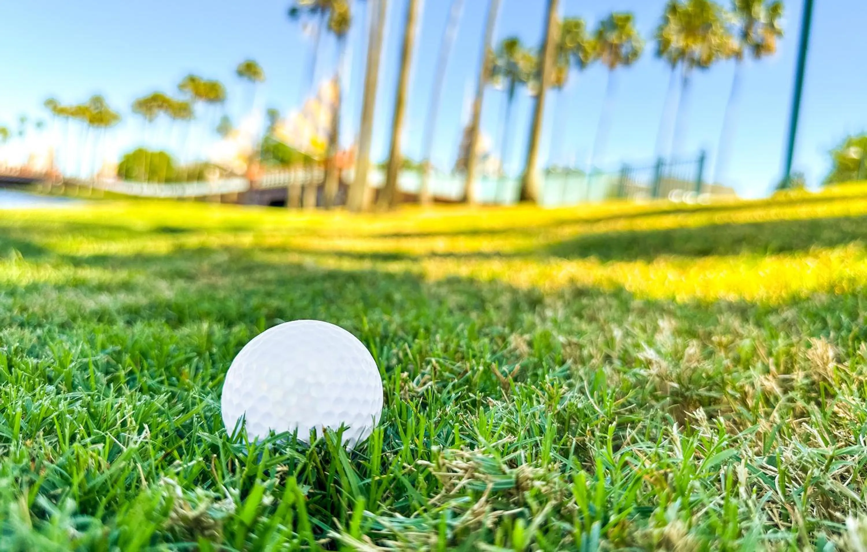 Golfcourse in Walt Disney World Swan Reserve