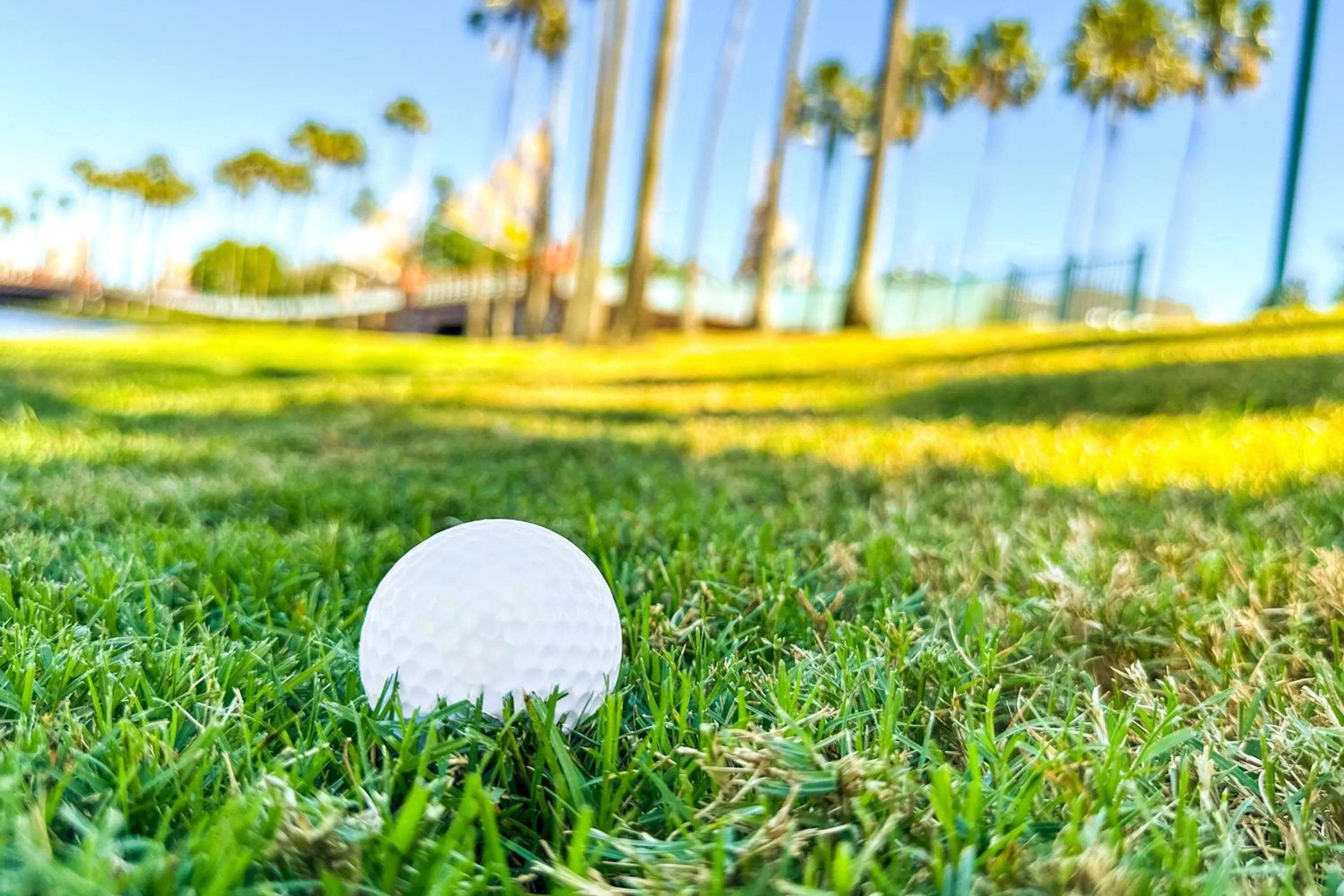 Fitness centre/facilities in Walt Disney World Swan Reserve