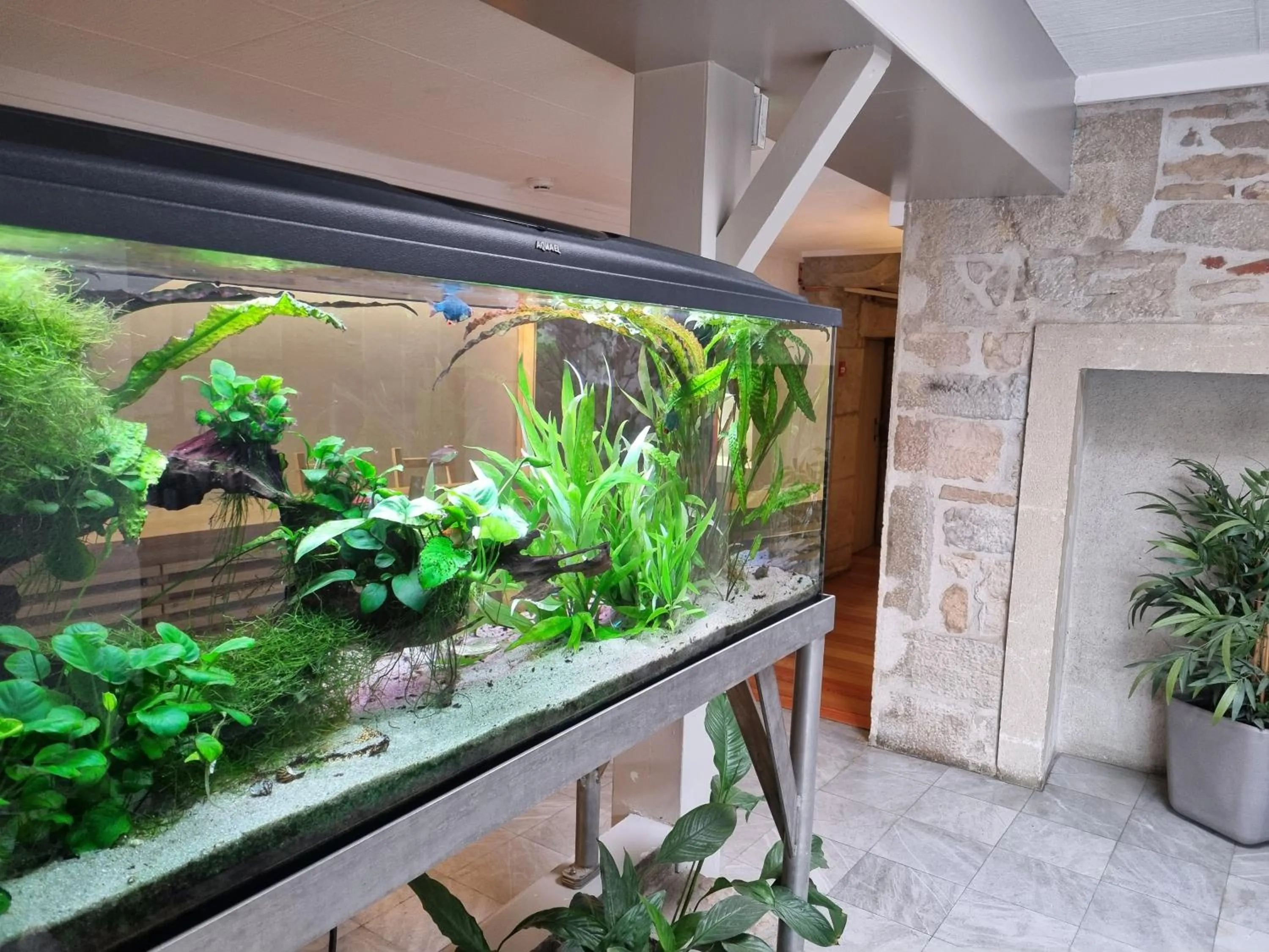 Lobby or reception in Hotel Le Bourgogne