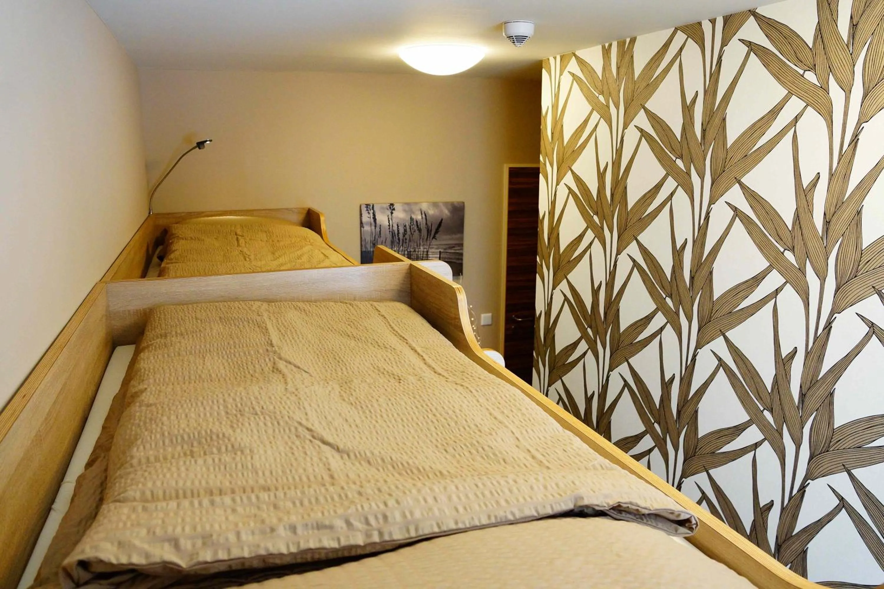 View (from property/room), Bed in Bavaria City Hostel - Design Hostel