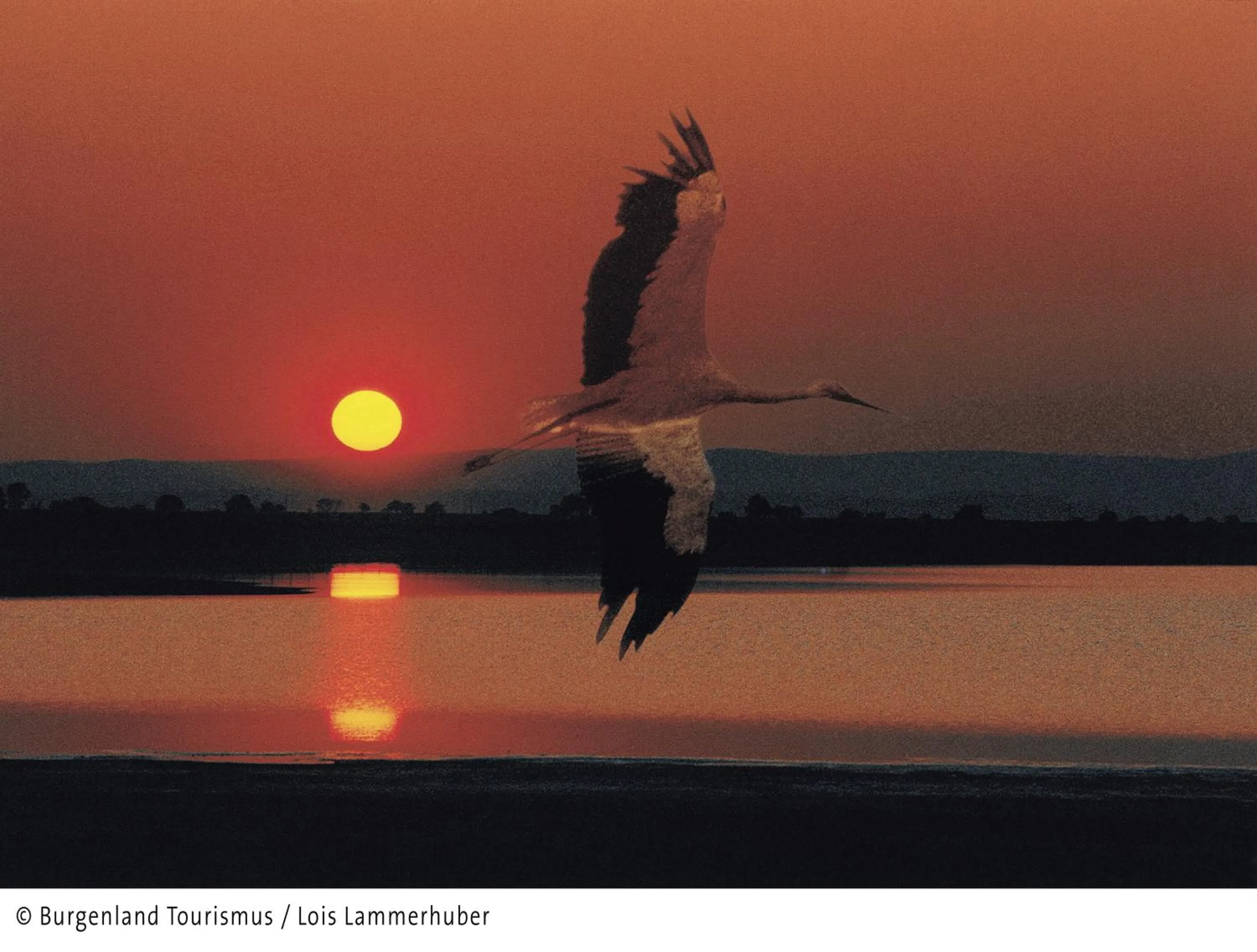 Other in Hotel Zur Post