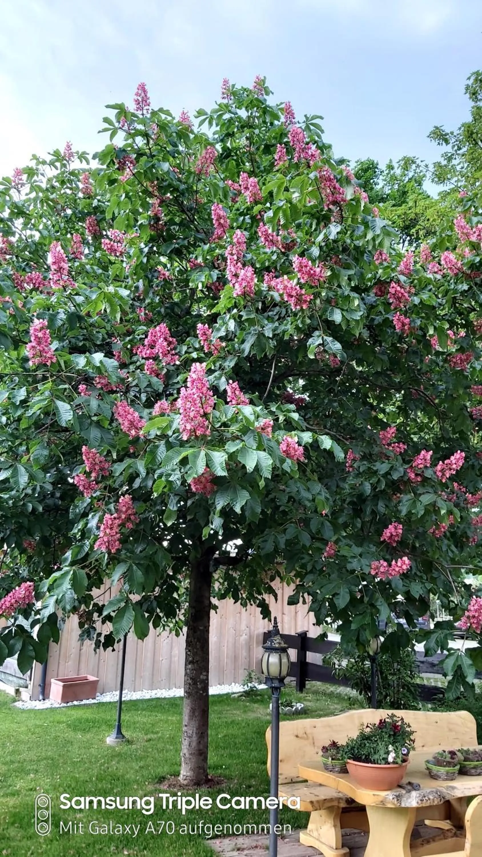 Garden view in das Christophorus