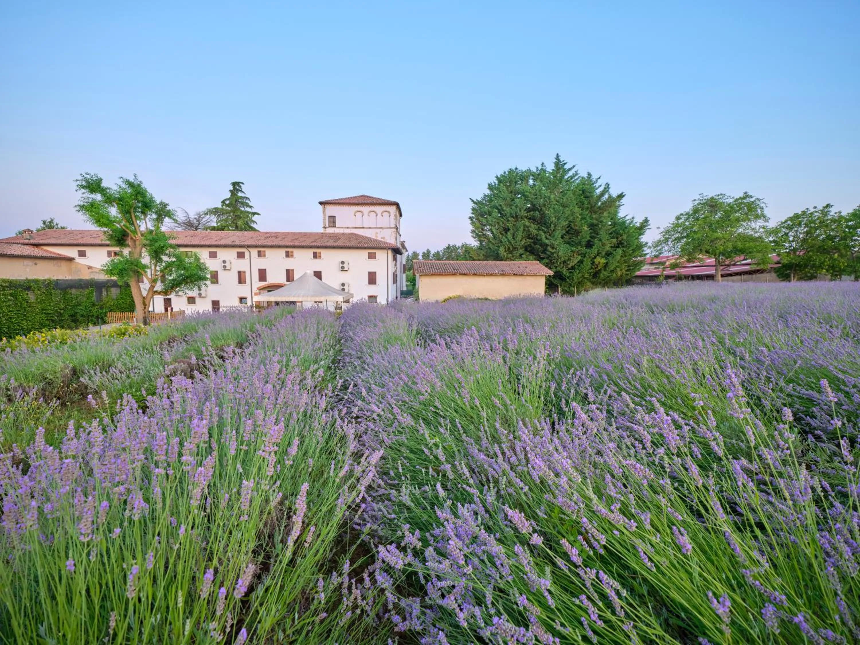 Property building in AGRITURISMO COLOMBARE TEBOI