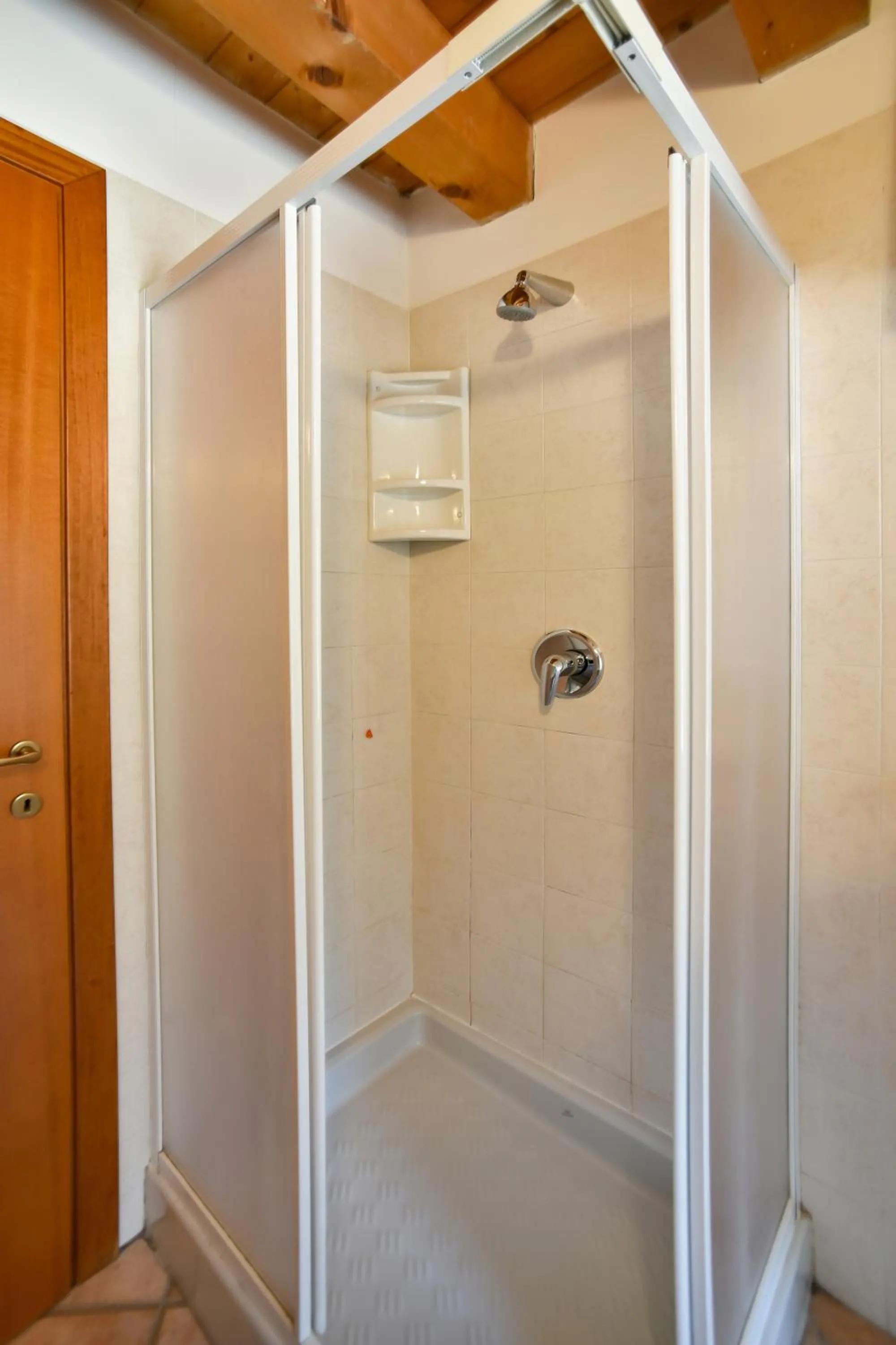 Shower in AGRITURISMO COLOMBARE TEBOI