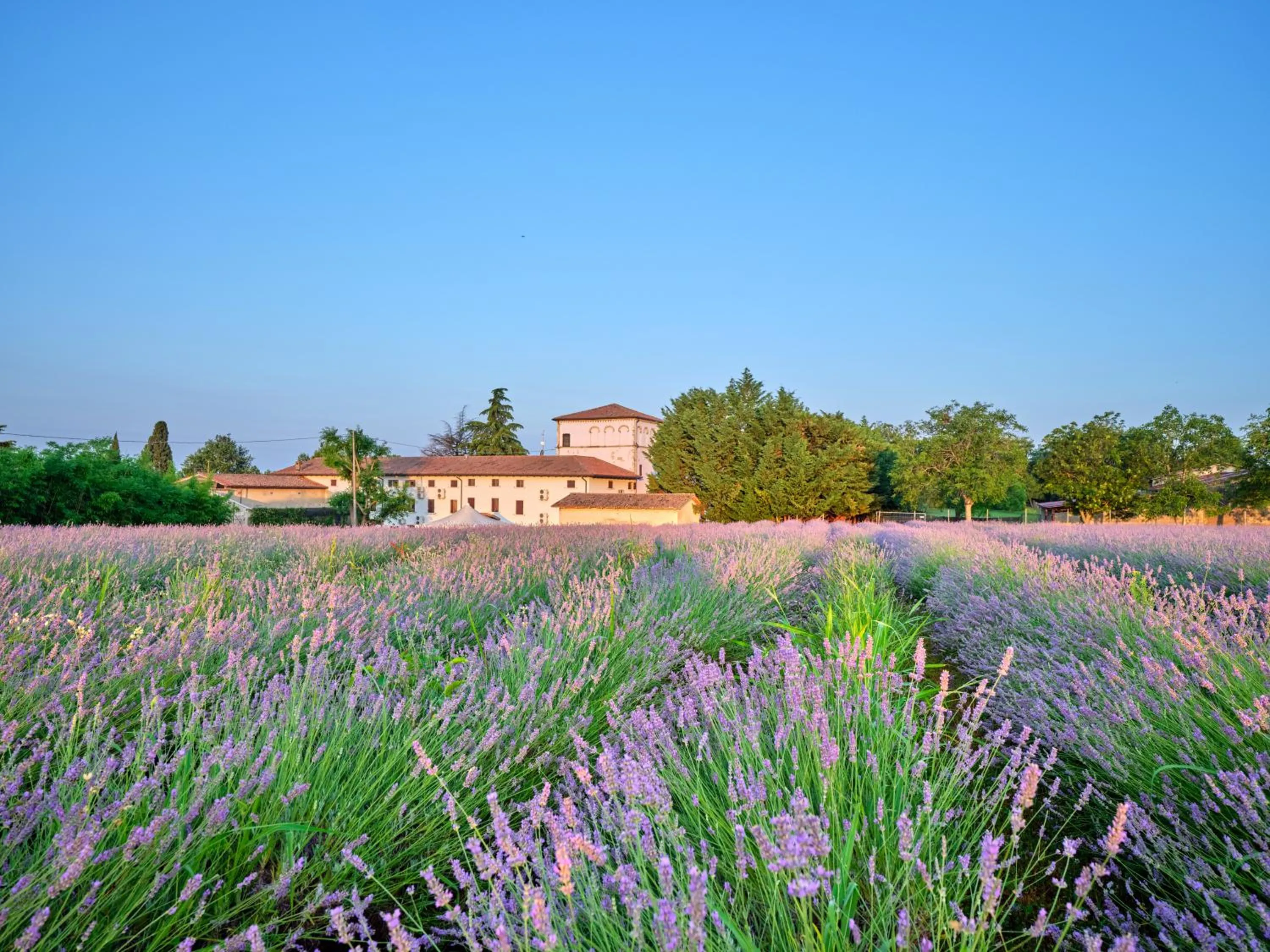 Property building in AGRITURISMO COLOMBARE TEBOI