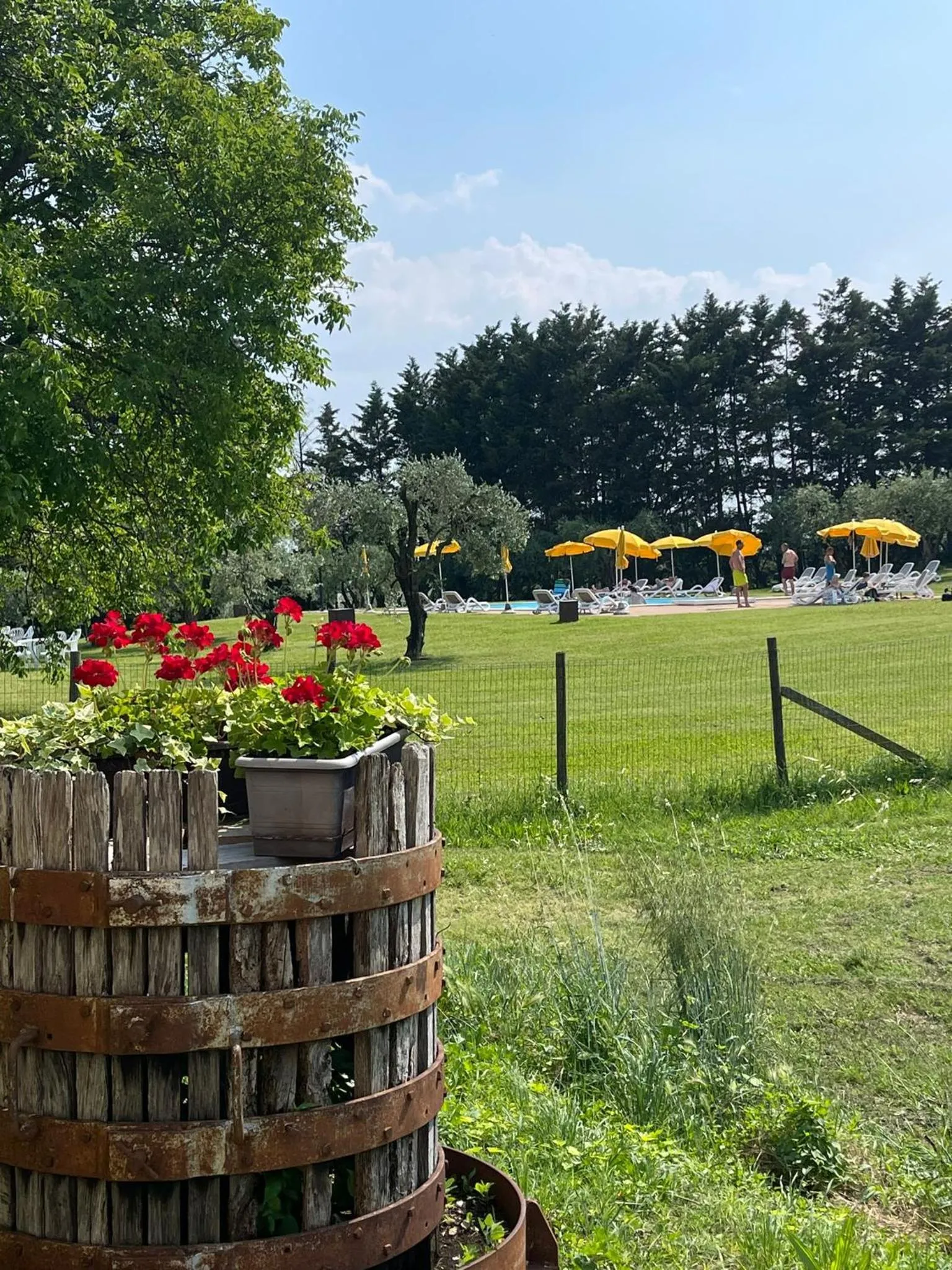 Garden view in AGRITURISMO COLOMBARE TEBOI