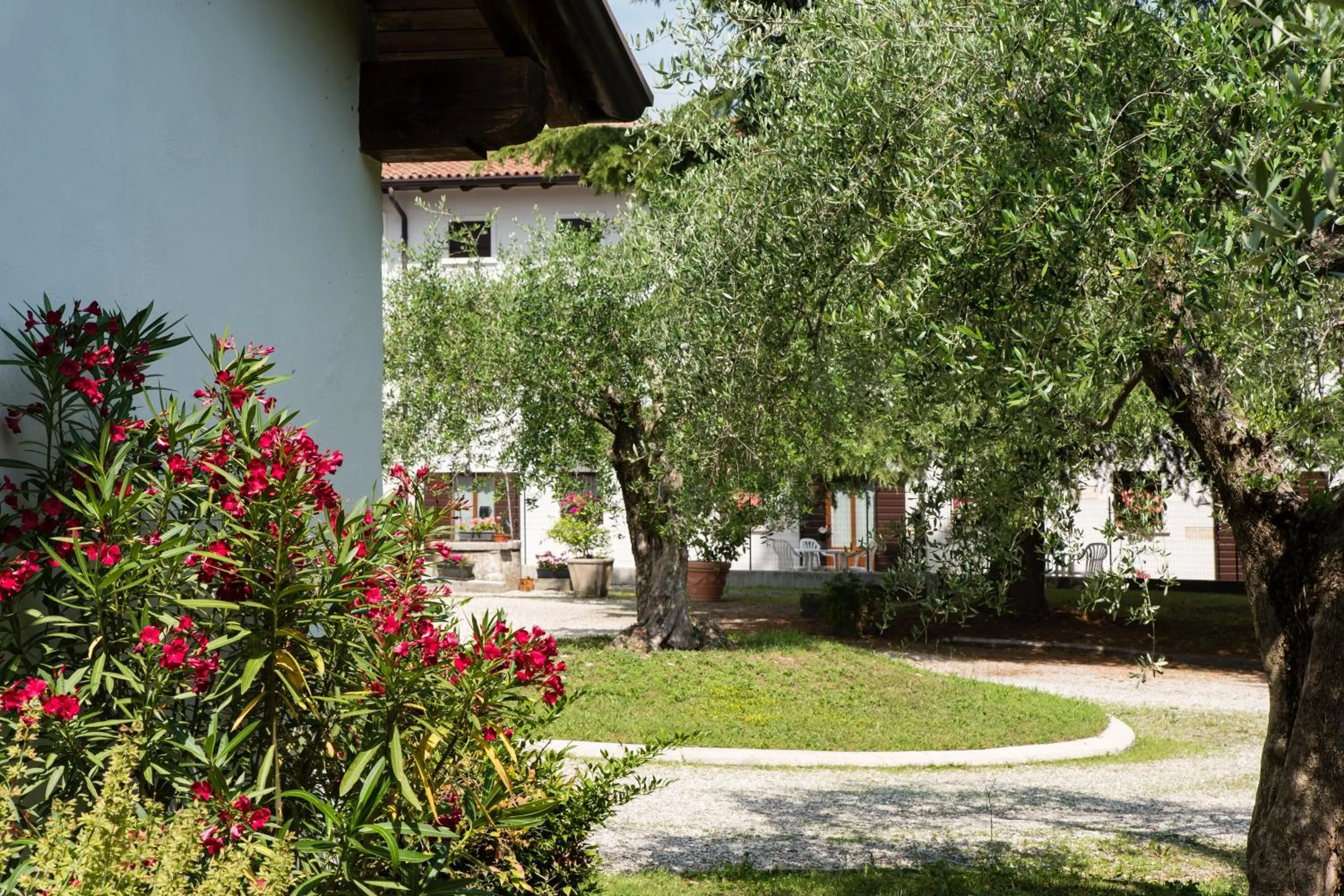 Garden in AGRITURISMO COLOMBARE TEBOI