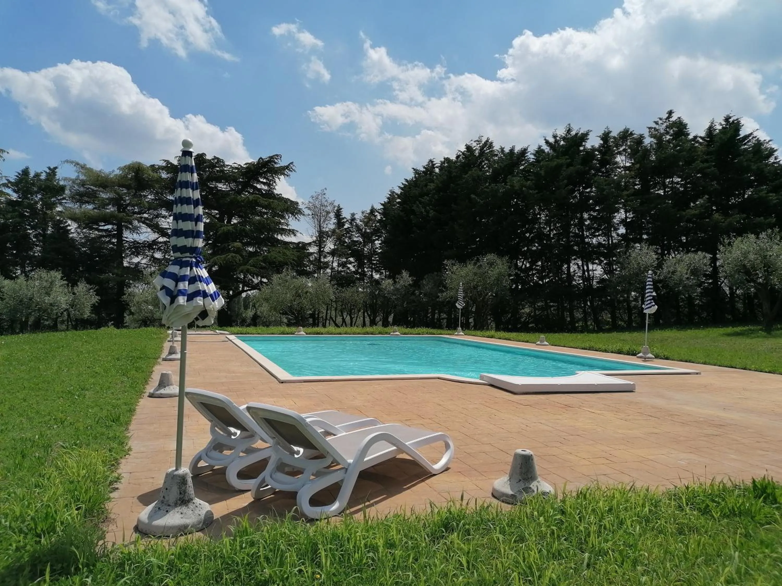 Swimming pool in AGRITURISMO COLOMBARE TEBOI