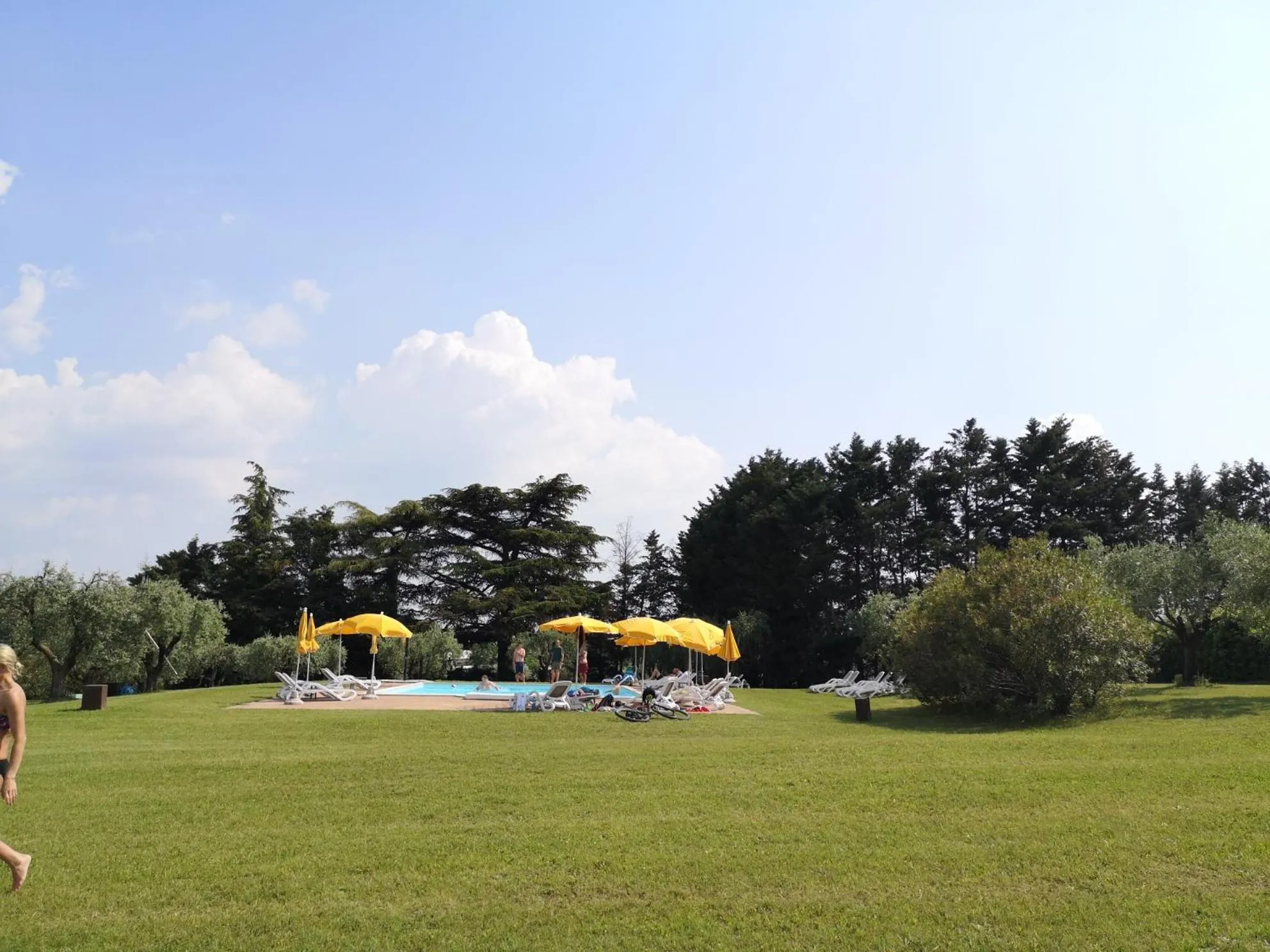 Pool view in AGRITURISMO COLOMBARE TEBOI