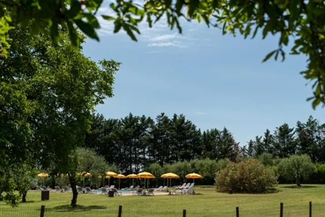 Swimming pool in AGRITURISMO COLOMBARE TEBOI