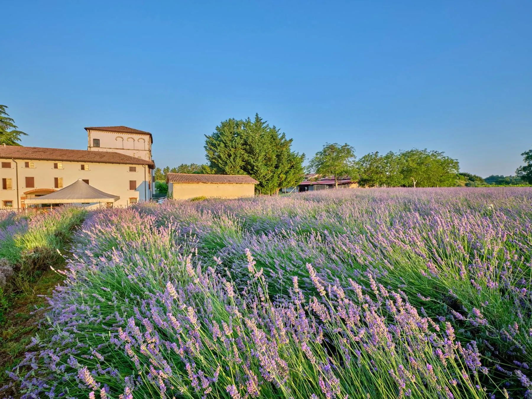 Property building in AGRITURISMO COLOMBARE TEBOI