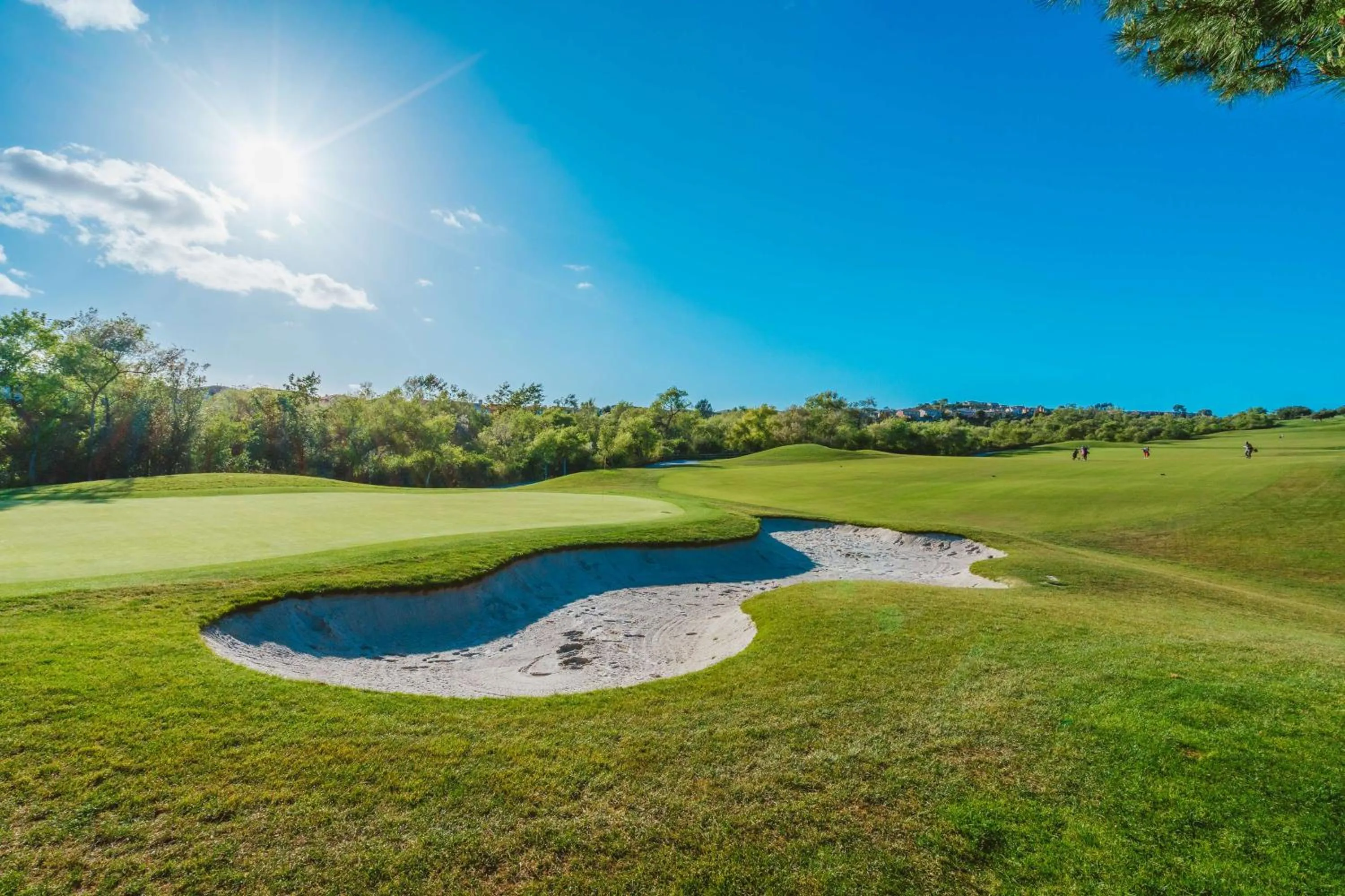 Golfcourse in The Seabird Ocean Resort & Spa, Part of Destination Hotel by Hyatt