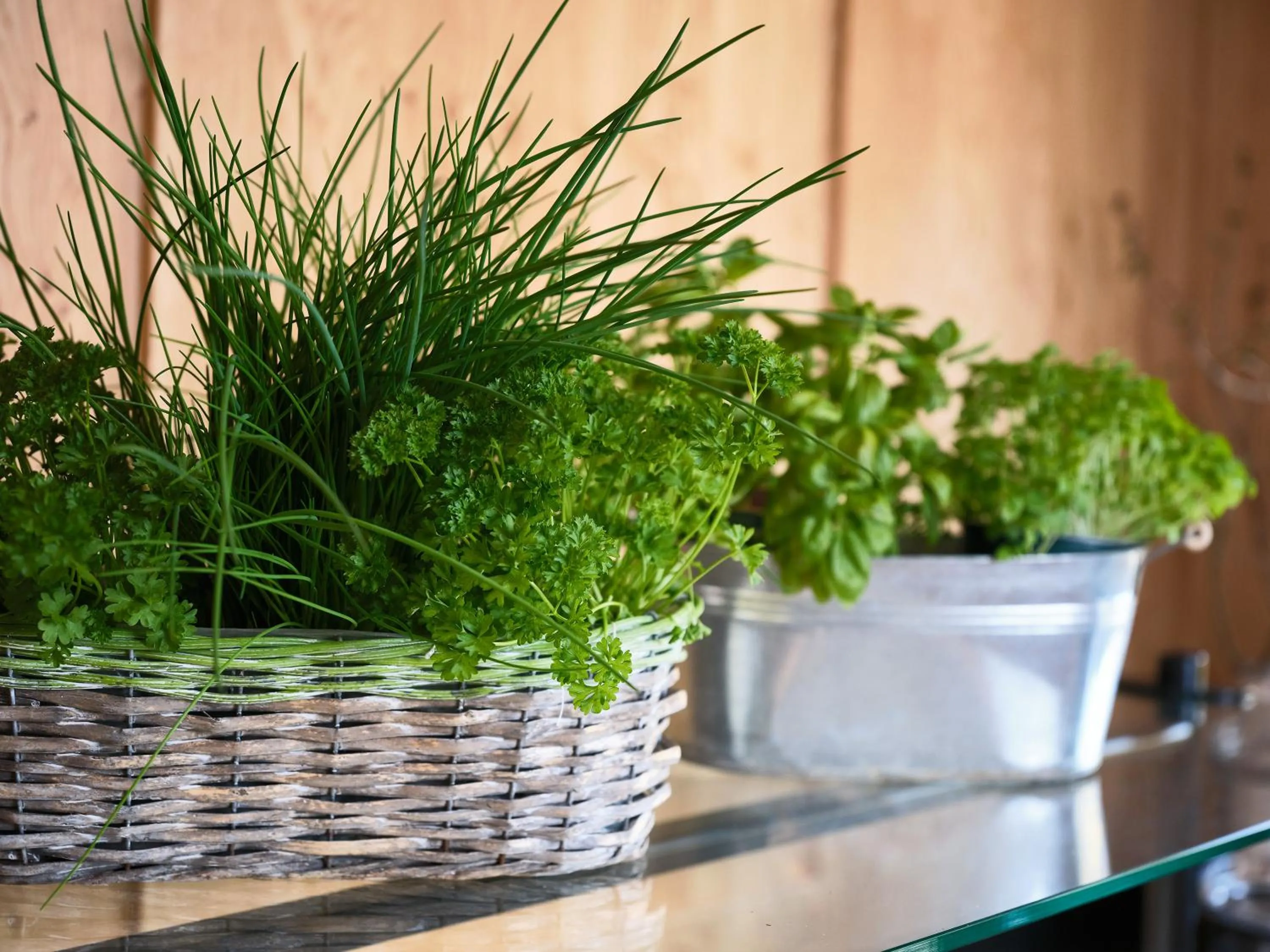 Restaurant/places to eat in Bloberger Hof