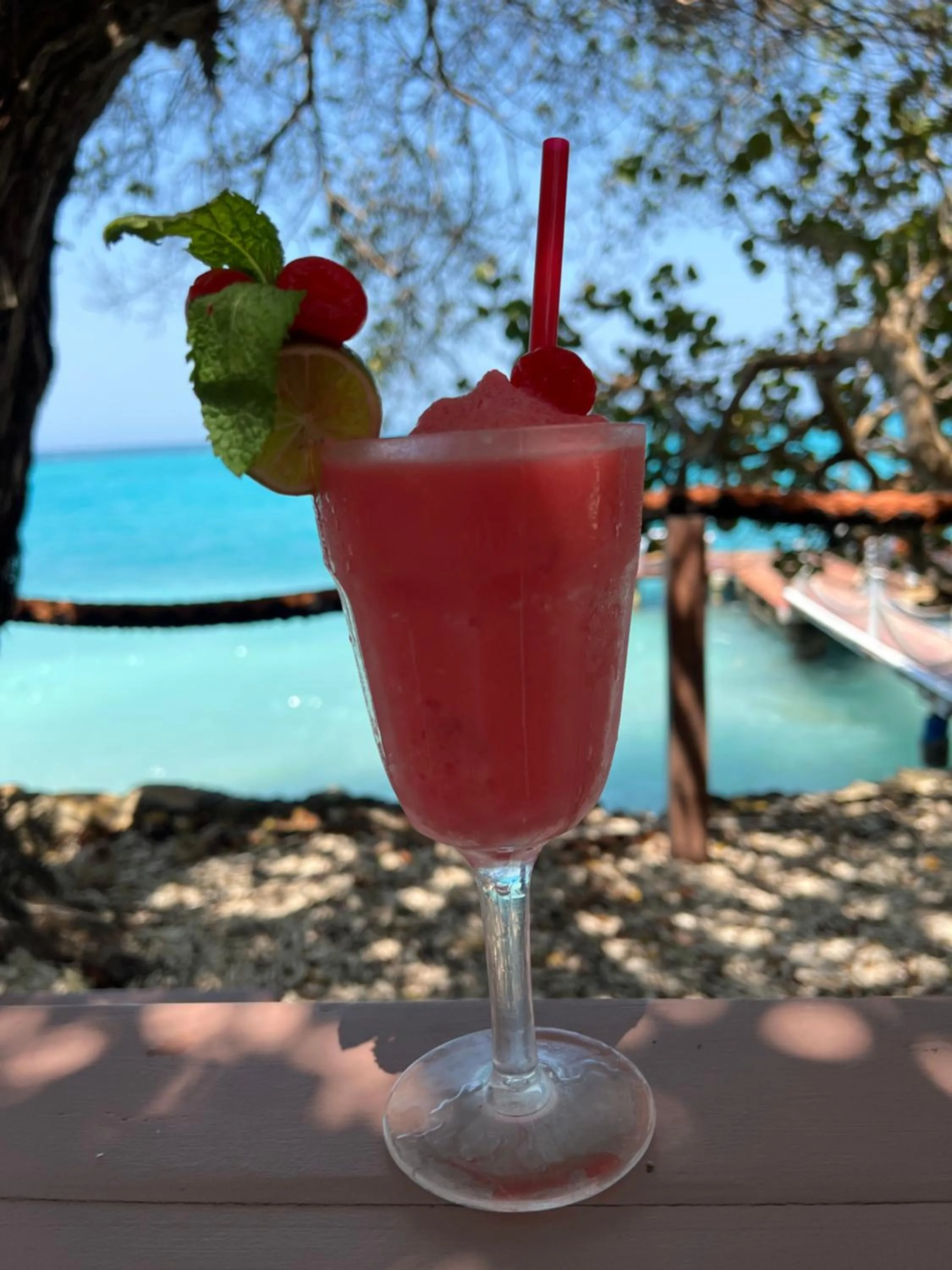 Drinks in Rosario EcoHotel - Islas del Rosario