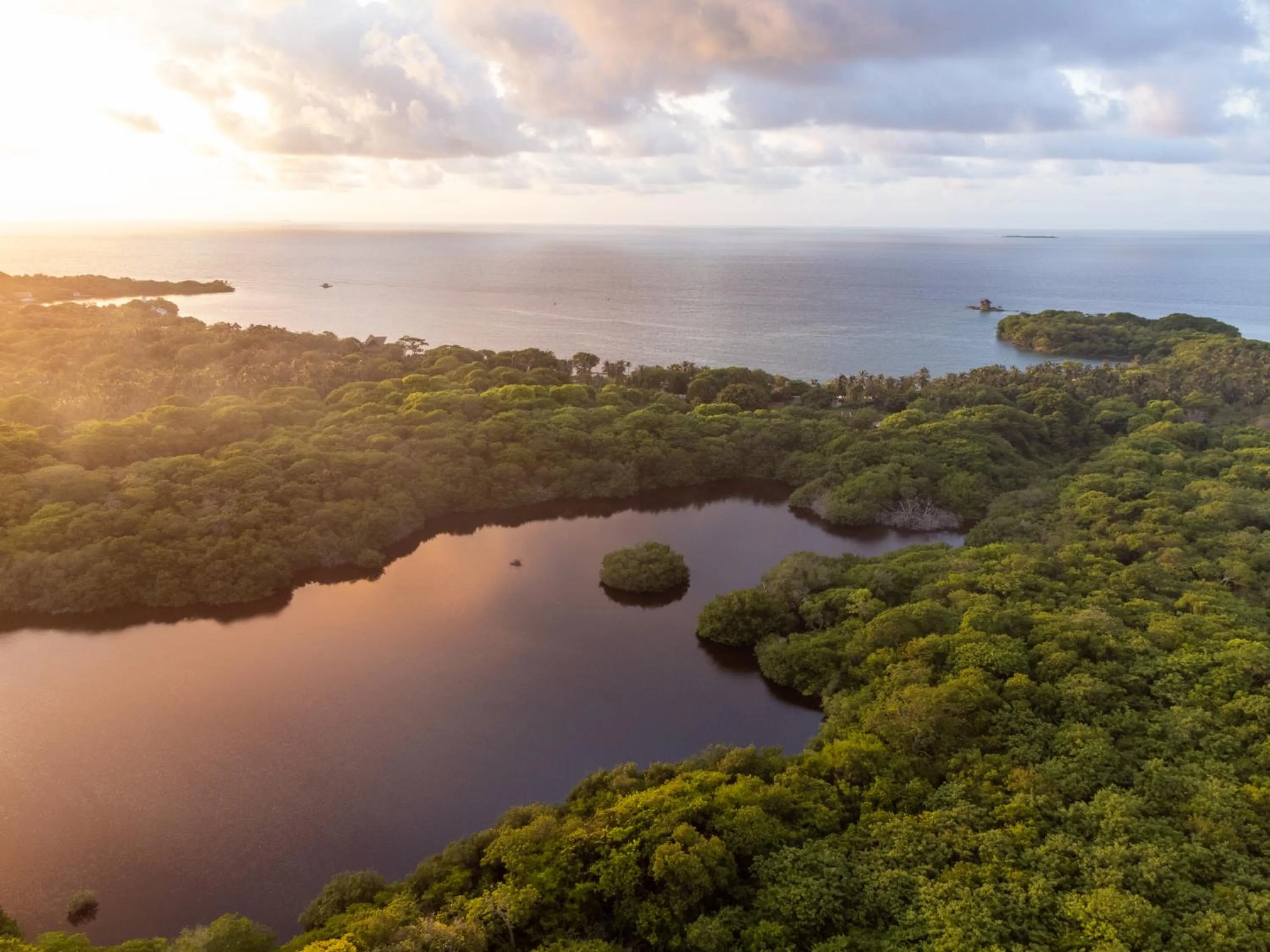 Natural landscape in Rosario EcoHotel - Islas del Rosario
