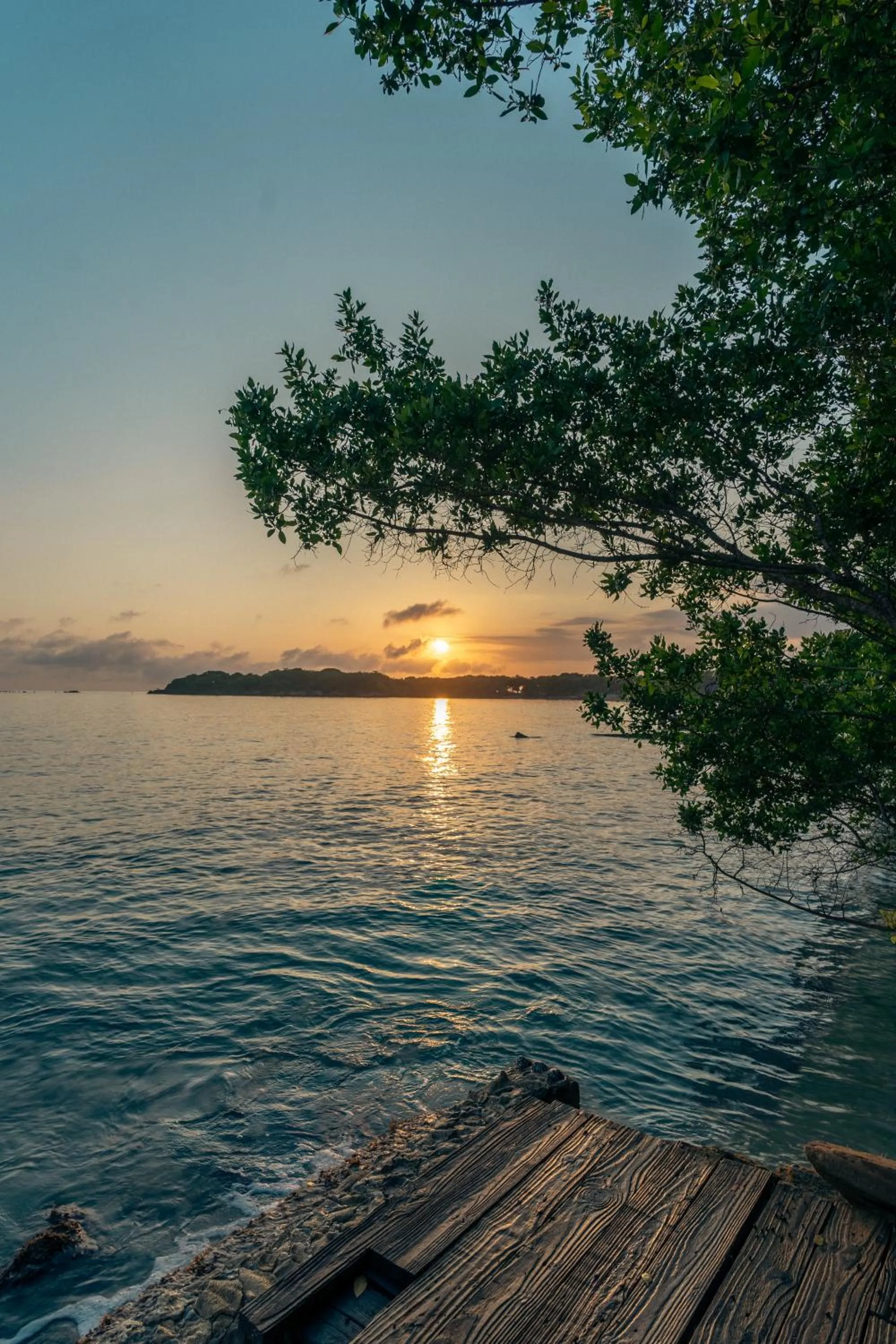 Natural landscape in Rosario EcoHotel - Islas del Rosario