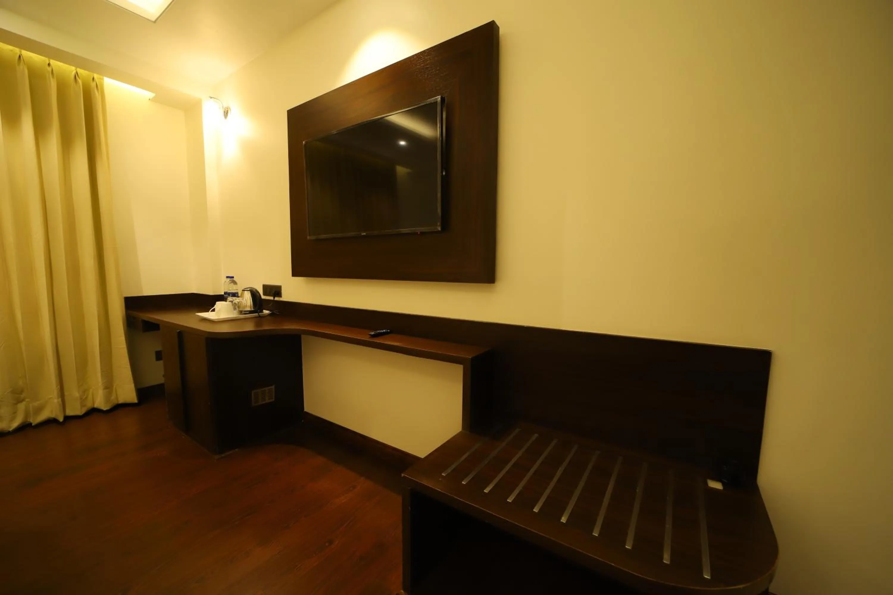 TV and multimedia in Hotel DVIJ INN