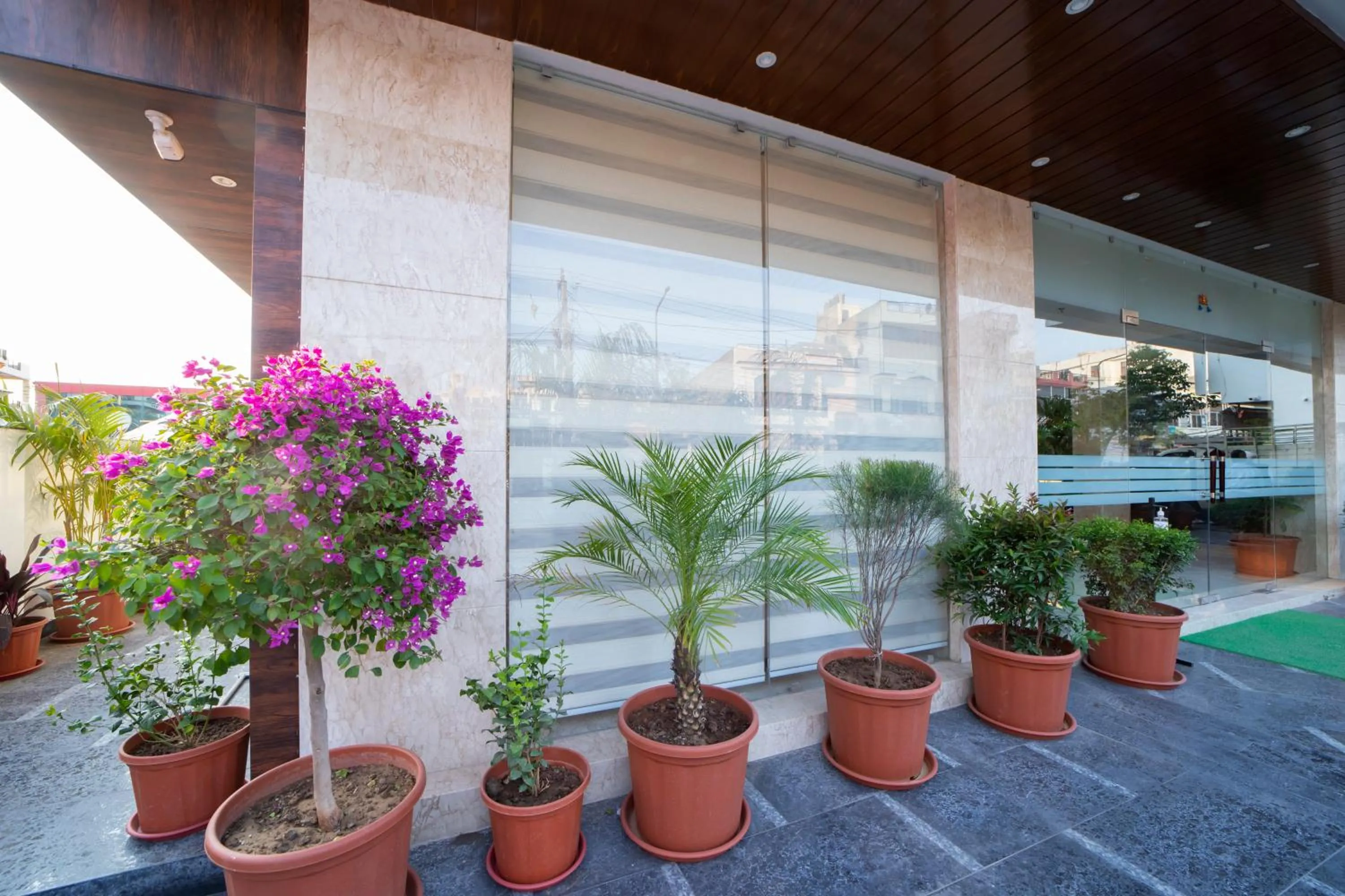 Natural landscape in Hotel DVIJ INN