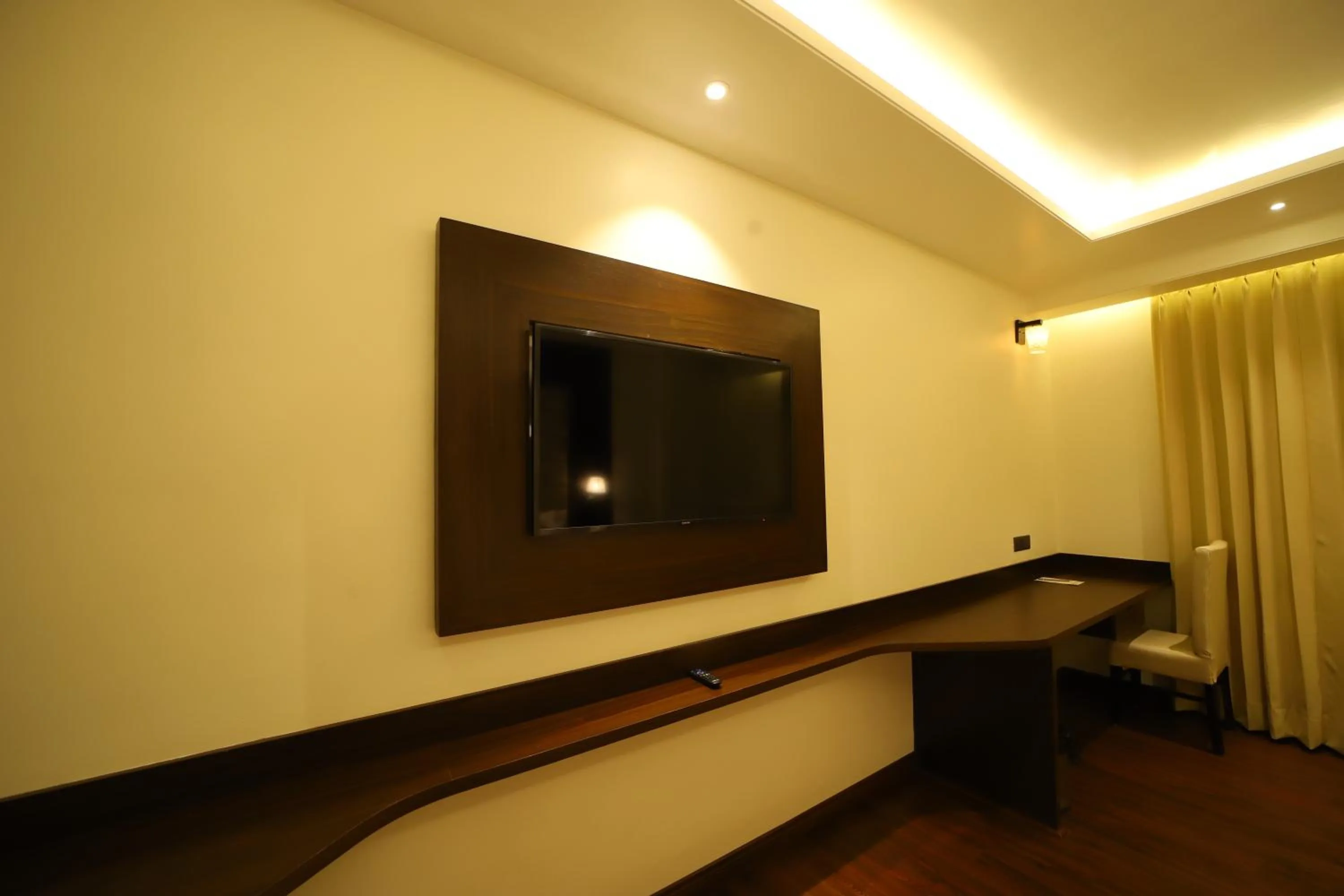 TV and multimedia in Hotel DVIJ INN