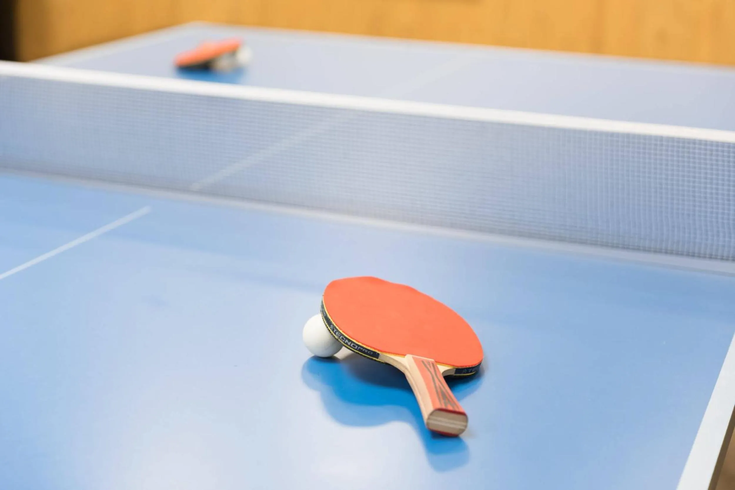 Game Room in Hotel Pension Sonnleiten