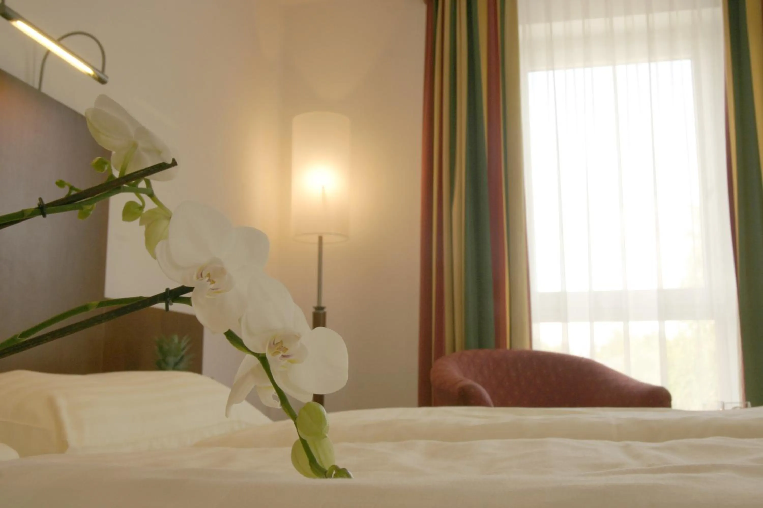 Bed in Hotel Via Roma