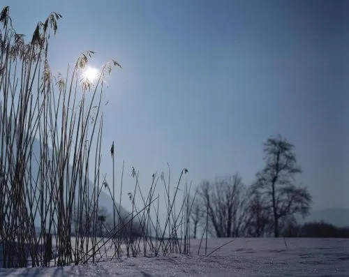 Area and facilities in Das Rotspitz Adults - only