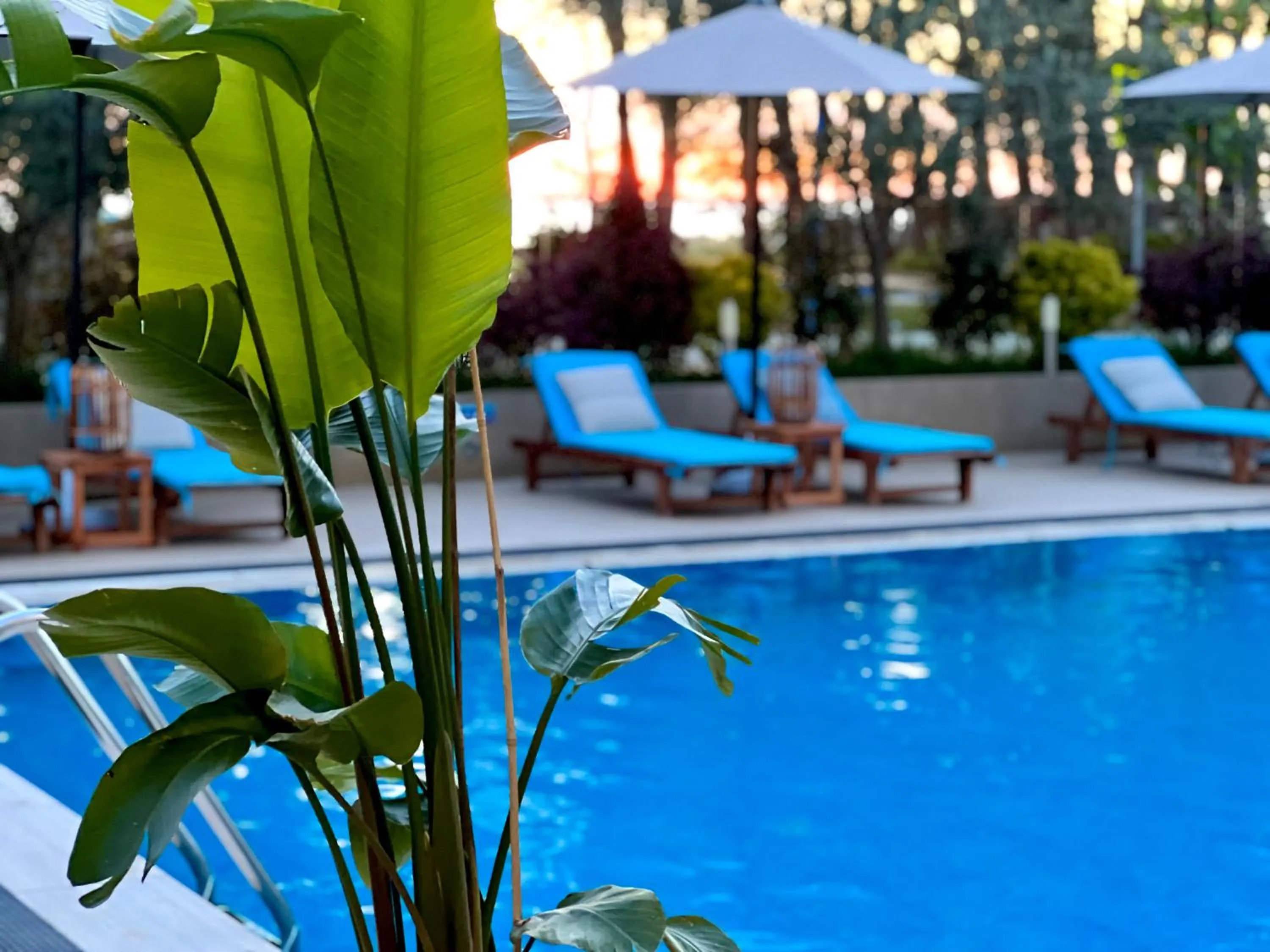 Swimming pool in Marbella Beach Hotel