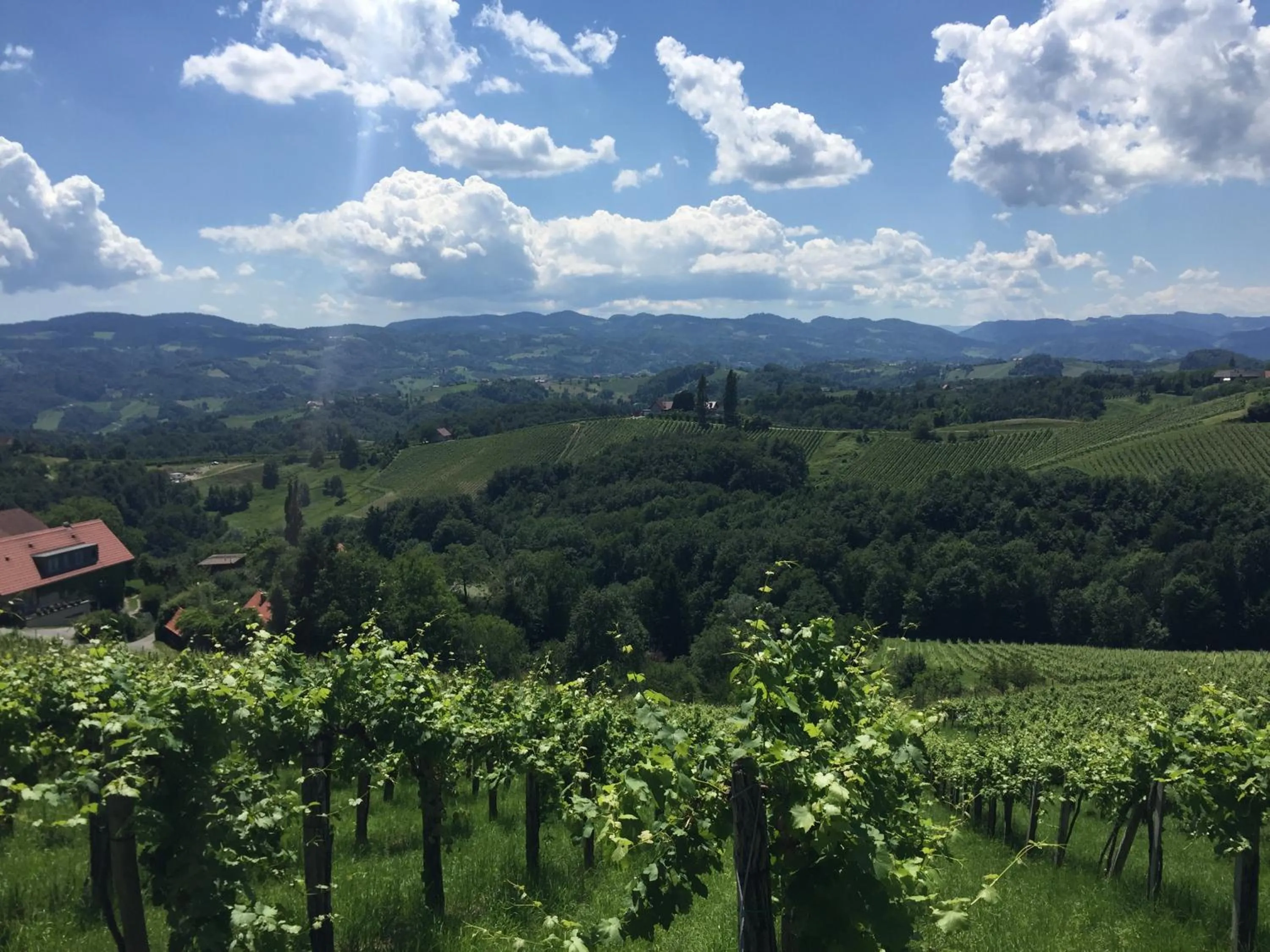 Natural landscape in Hotel am Marktplatz - Landgasthof Wratschko - Gamlitz