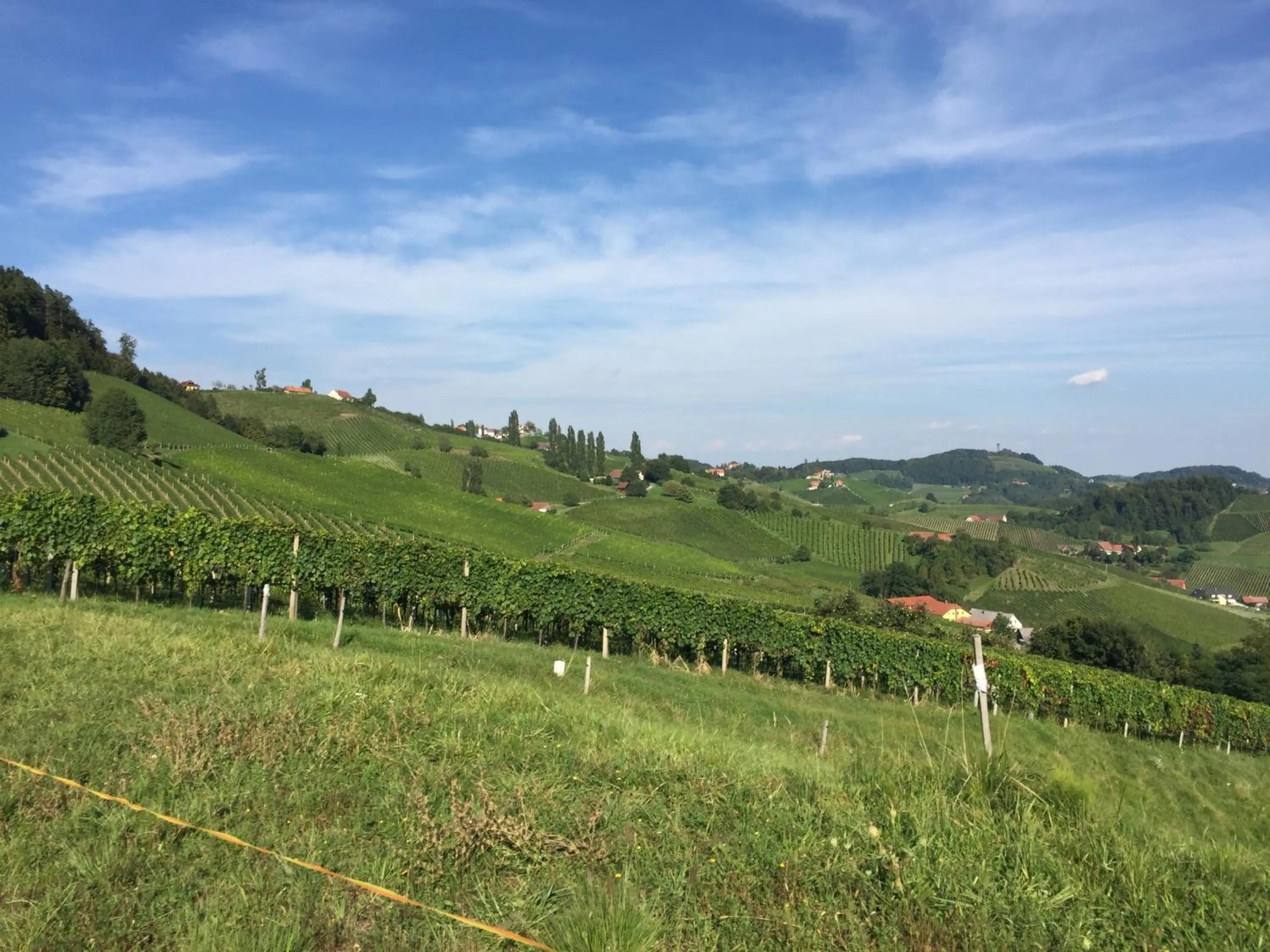 Natural landscape in Hotel am Marktplatz - Landgasthof Wratschko - Gamlitz