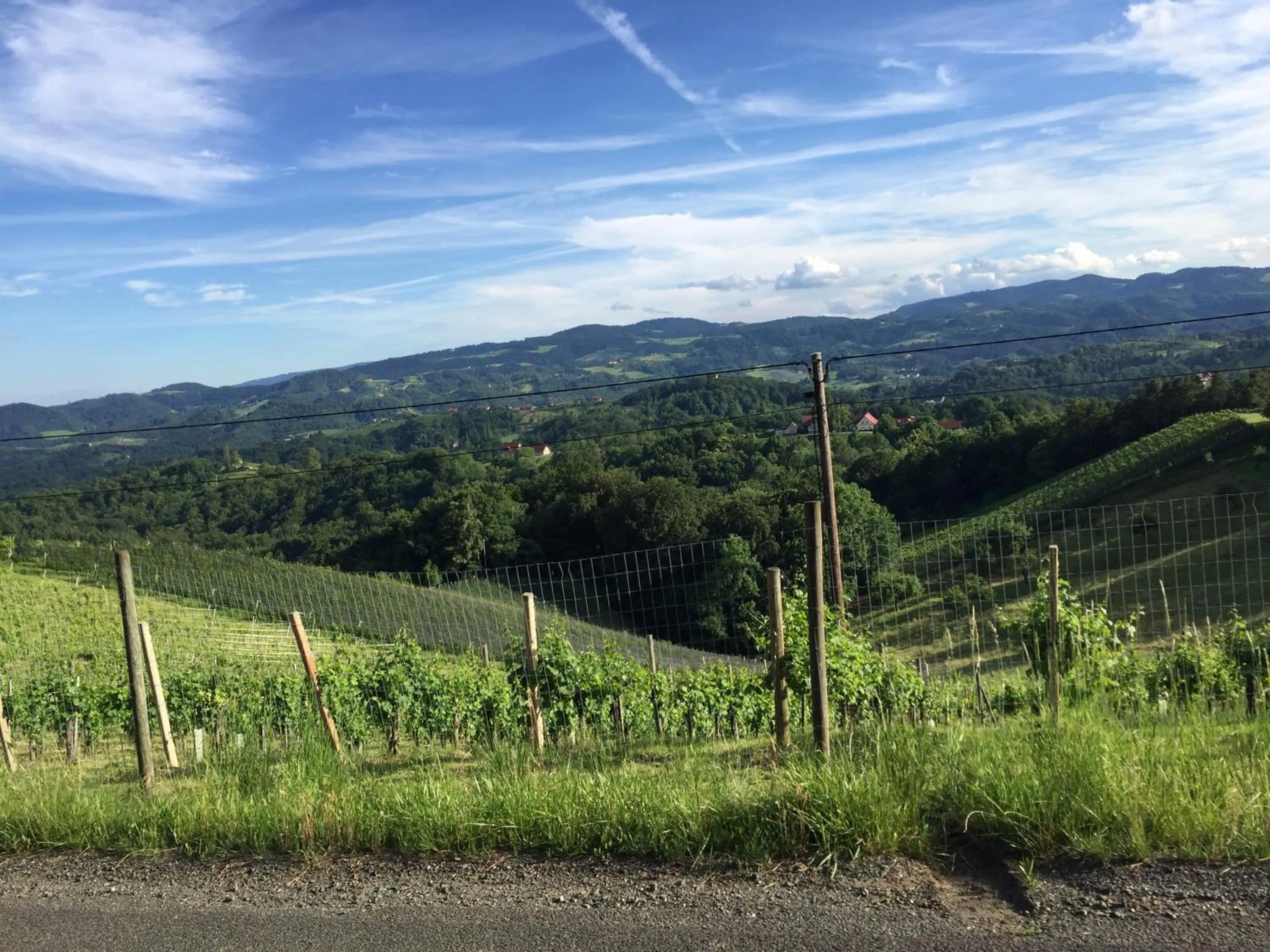 Natural landscape in Hotel am Marktplatz - Landgasthof Wratschko - Gamlitz